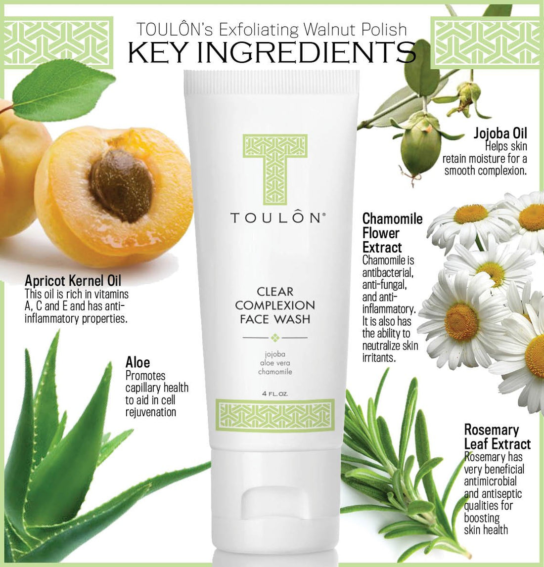 Aloe Vera Face Wash - Anti Aging Face Cleanser For Oily Skin &Amp; Acne-Free Clear Complexion. Antioxidant Facial Cleanser For Women And Men