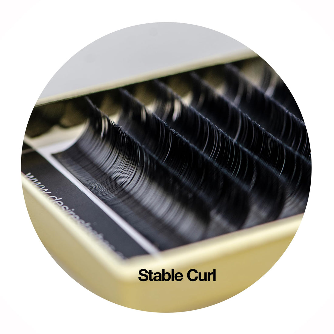 12MM : DESIRES LASHES By EMILYSTORES Ellipse 0.15mm Thickness C Curl Length 12mm Flat Shaped Volume Eyelash Extensions Single Size In One Tray Silk Mink Fake Eye Lashes