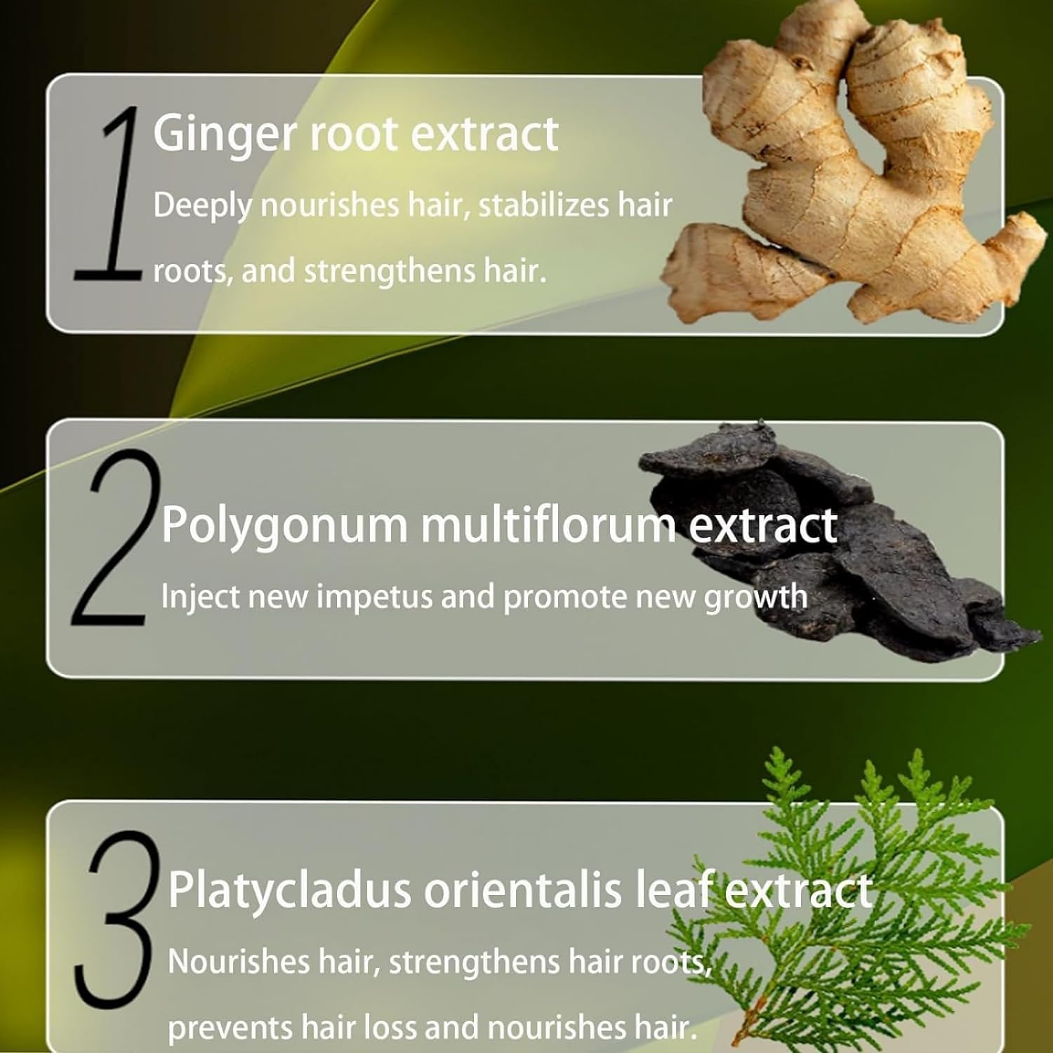 YCNASSS Ginger Plant Extract Shampoo for Hair Growth, Anti-Dandruff and Oil Control with Polygonum Multiflorum