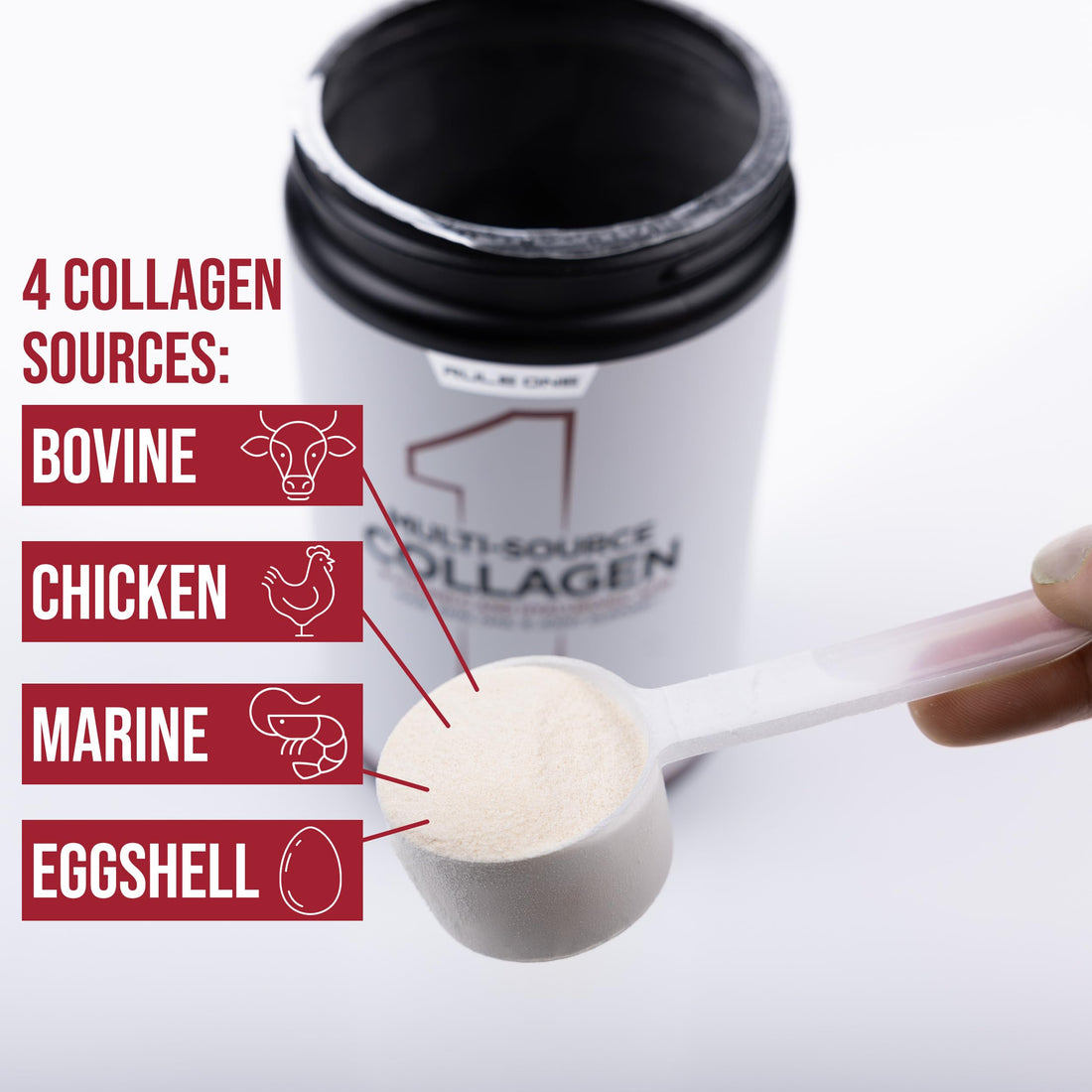 Rule 1 Multi-Source Collagen Powder - Bovine, Chicken, Fish & Eggshell Collagen Sources + Hyaluronic Acid & Vitamin C for Hair, Skin, & Nail Support (25 Servings, Unflavored)