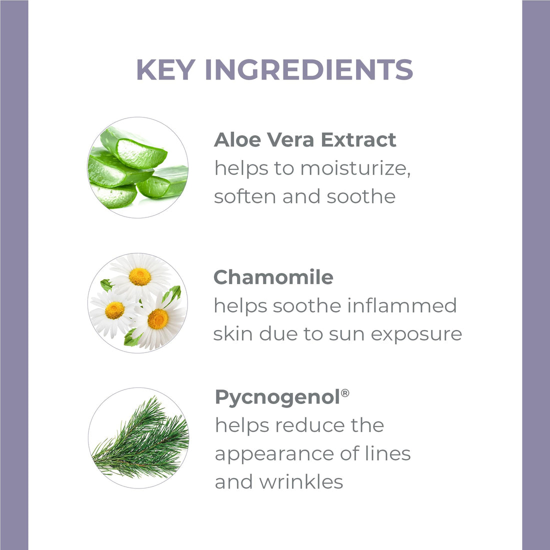Derma-e Vitamin E Fragrance-free Therapeutic Moisture Shea Hand Cream, 2 Ounce