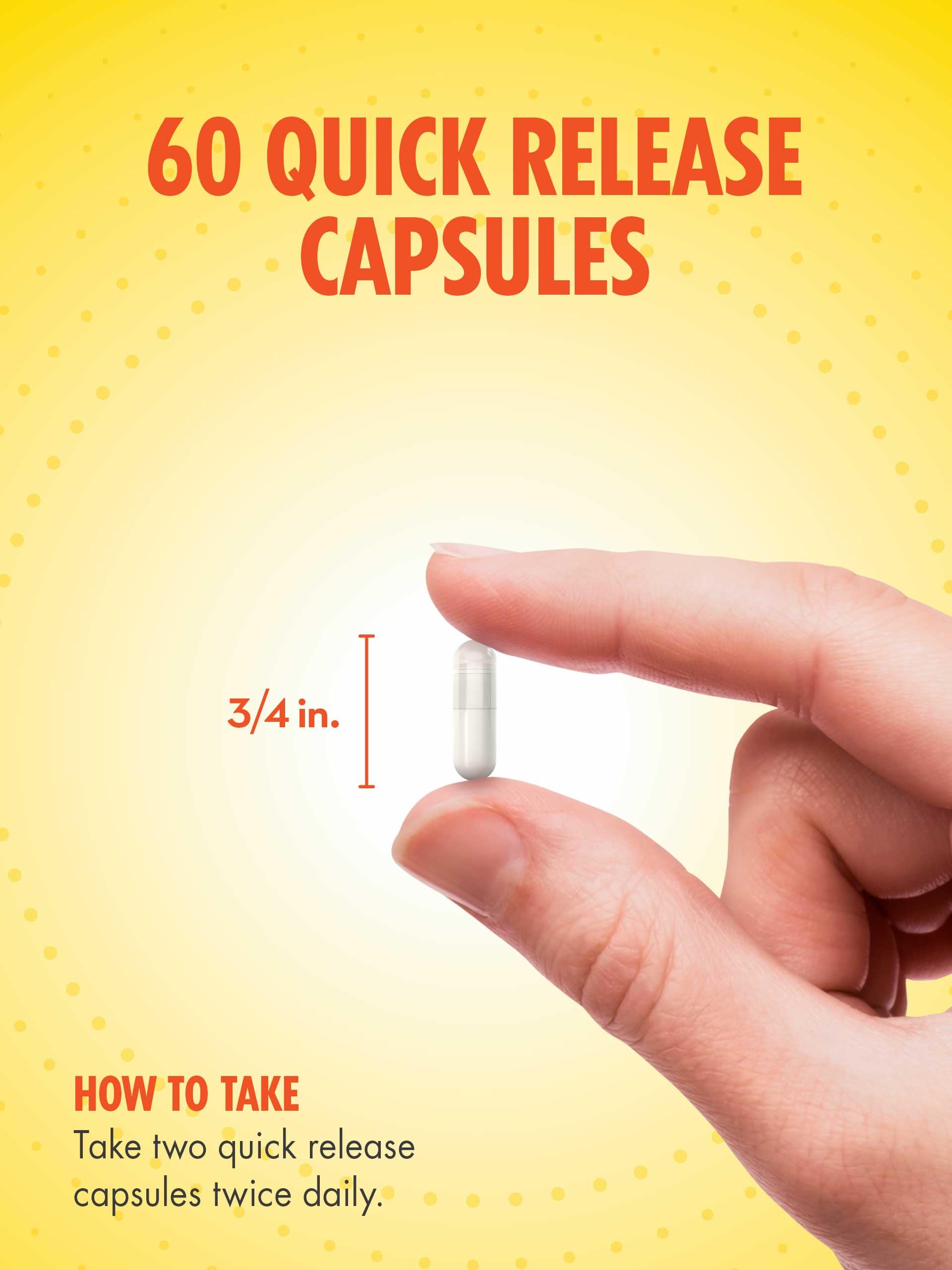 Probiotic Acidphilus 2mg | 60 Quick Release Capsules | 500 Million Active Cultures | Non-GMO, Gluten Free Supplement | By Sundance
