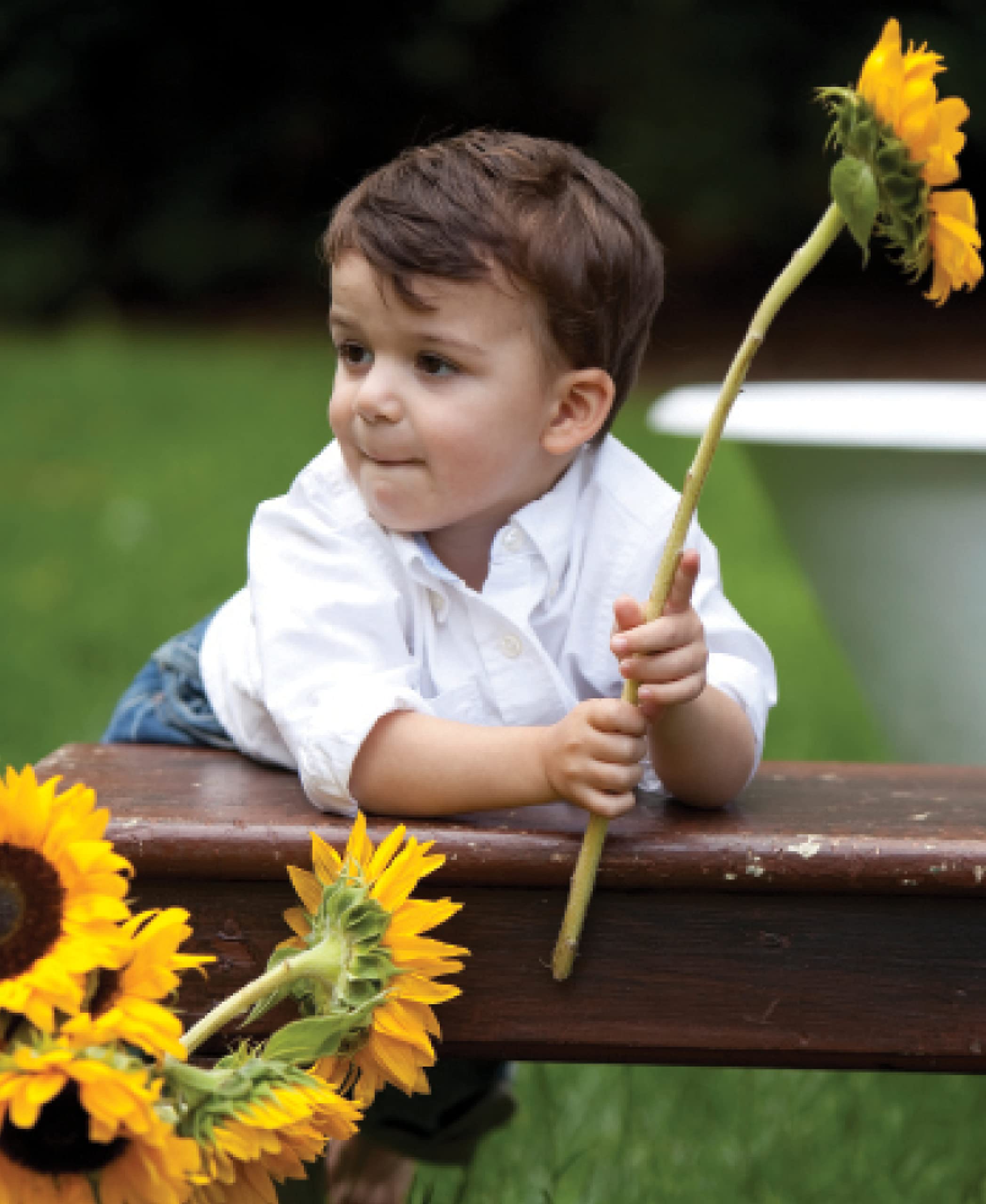 Little Green Kids Shampoo and Body Wash, 240ml