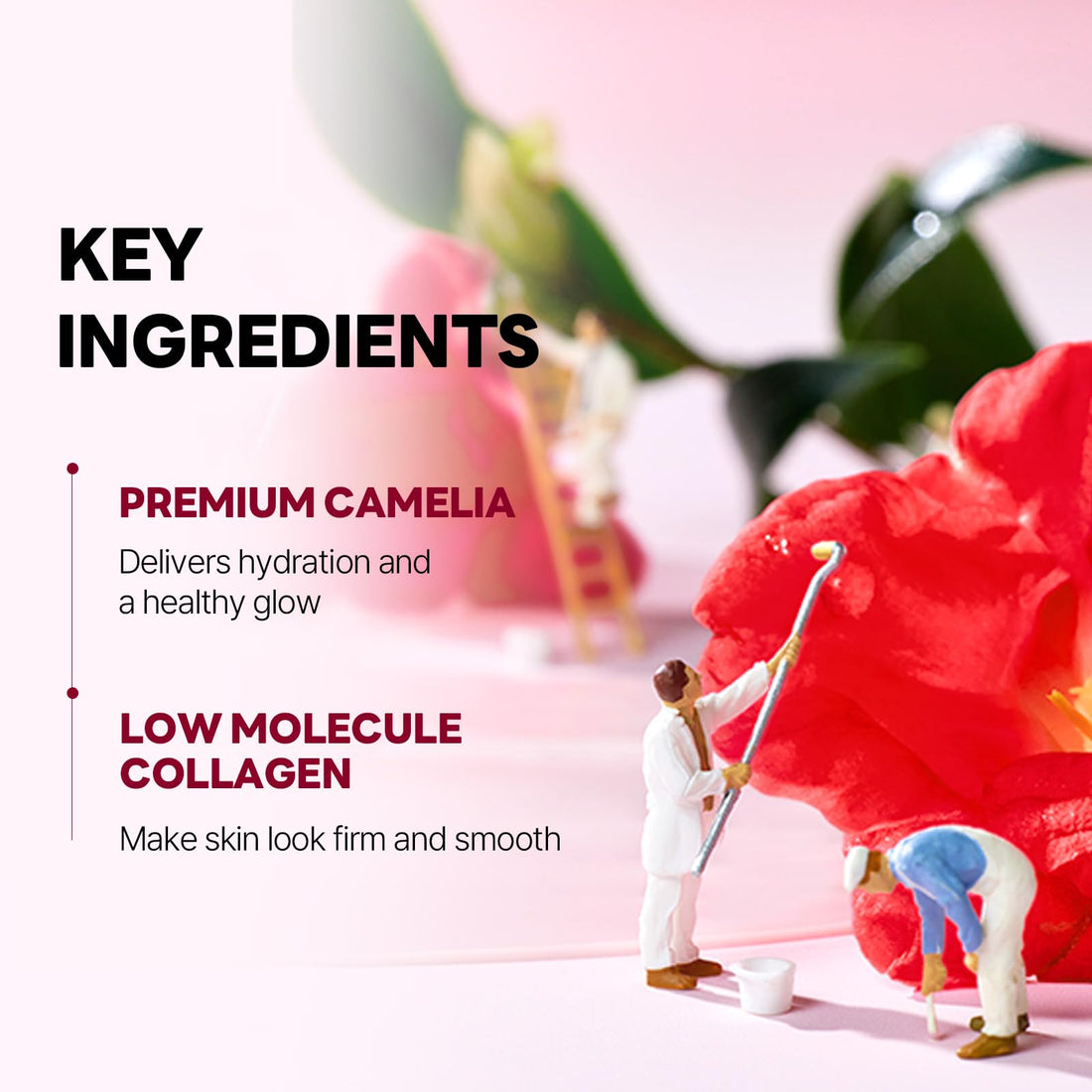 ROUND LAB Camellia Collagen Mask NET wt. 34 g/1.19 Fl Oz 1ea, 30min Hydrogel Mask, Quick Hydration, Firming&Pore Minimizing, For sensitive skin, Micro molecule collagen, Facial Mask