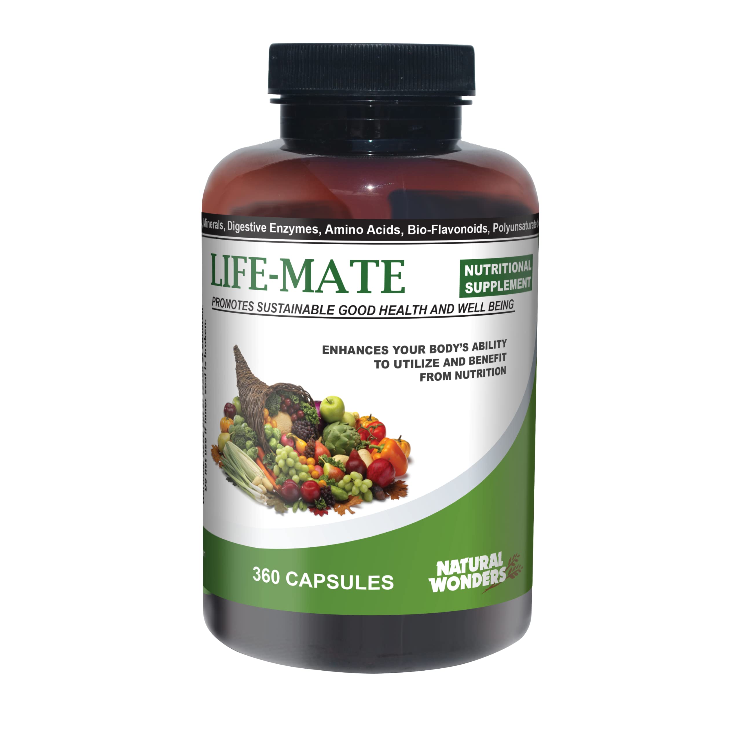 Natural Wonders Life Mate – Multivitamin Supplement | Prenatal Multi-Vitamins for Women with Nutritional and Immune Support | Energy Supplements for Men & Women (360 Capsules)