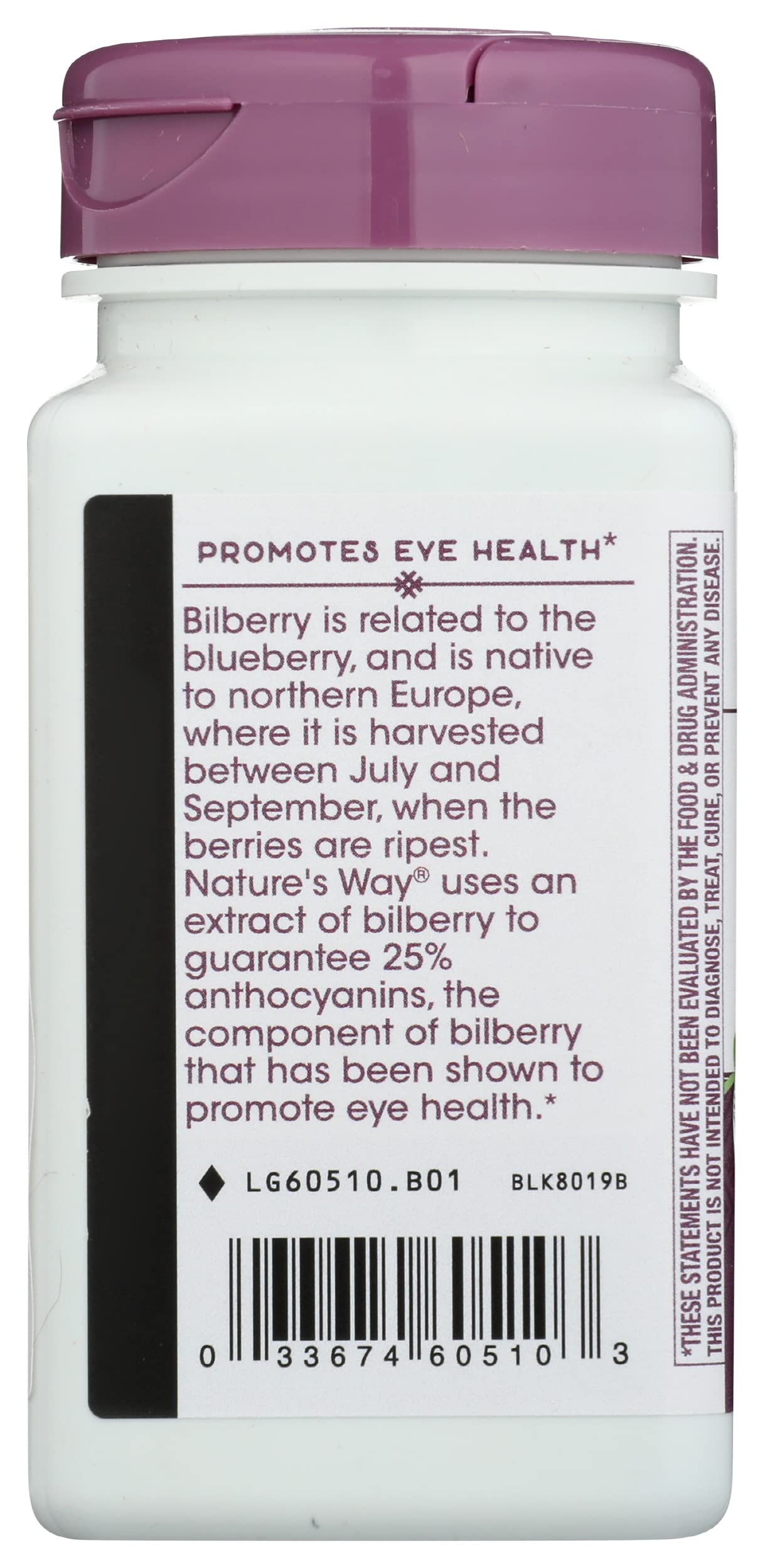 Natures Way Premium Extract Bilberry Standardized, Cruelty Free, Environmentally Friendly, 90 Vegan Capsules (Pack of 1)
