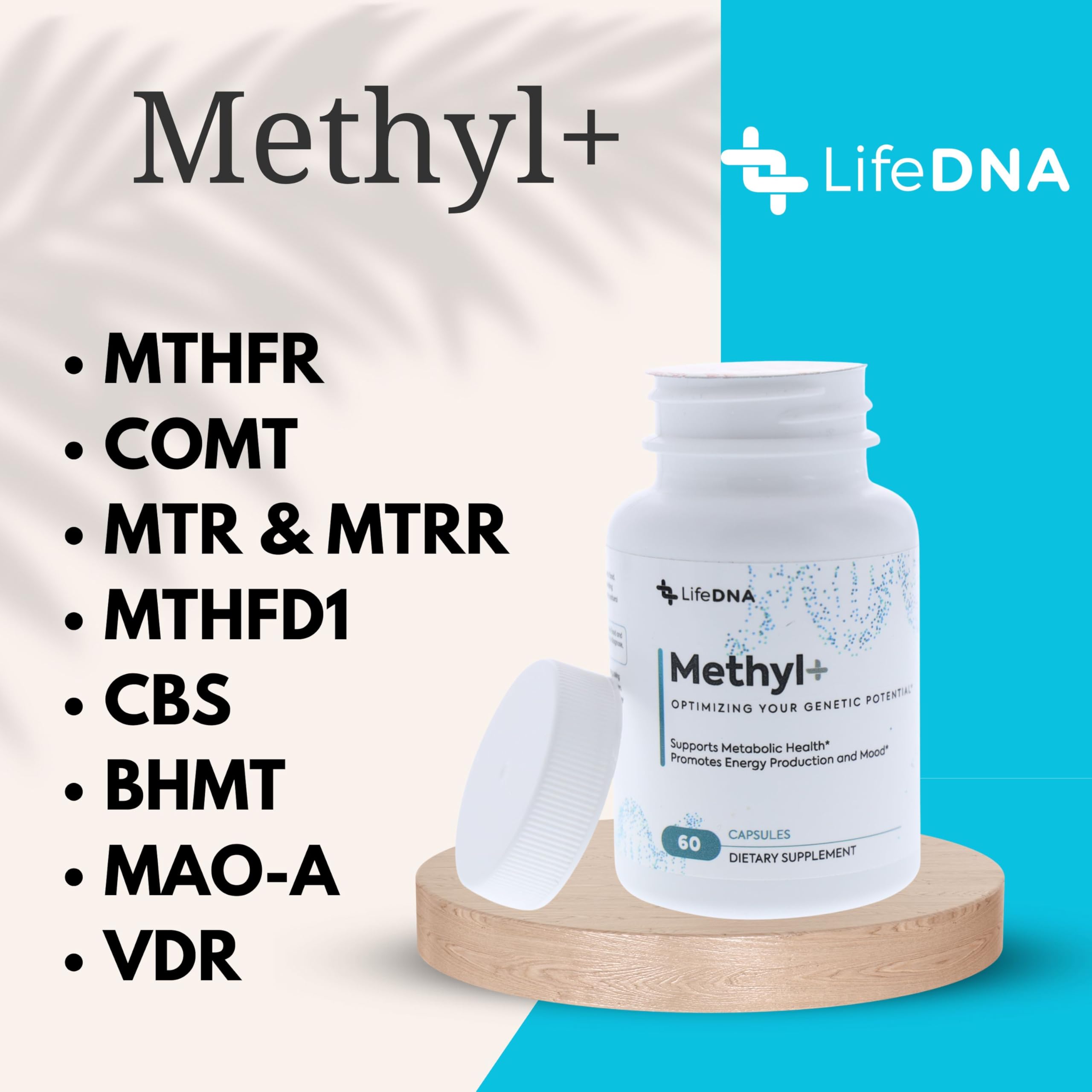 LIFEDNA Methyl+ Methylated Multivitamin Complex with Methylfolate & TMG for Optimized Homocysteine, Brain, Cardiovascular & Neurotransmitter Support