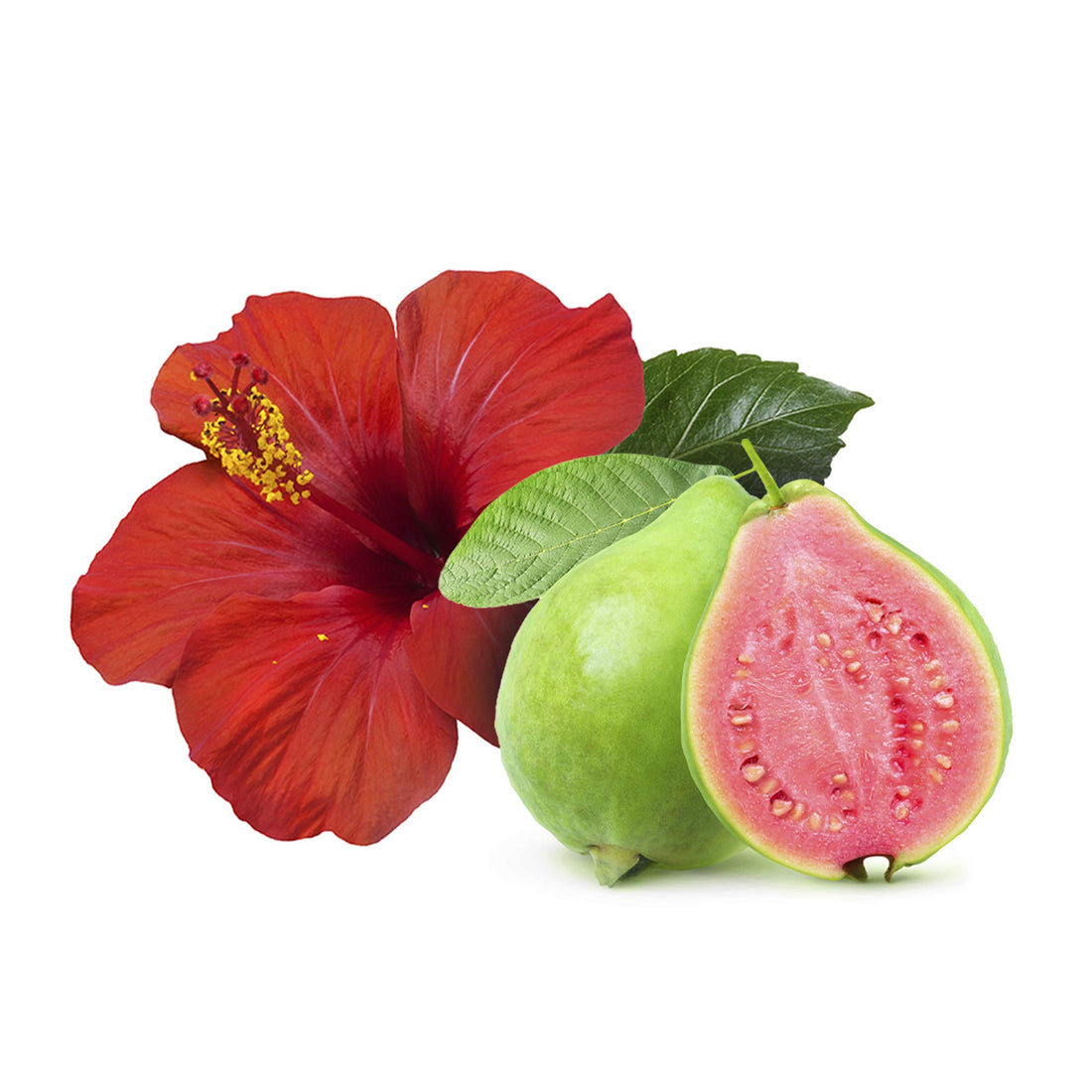 Shampoo & Condition Bars: Includes 1 Shampoo Bar + 1 Conditioner Bar. All Natural, Safe for Color Treated Hair, SLS Free, Shampoo Bars (Hawaiian Hibiscus)