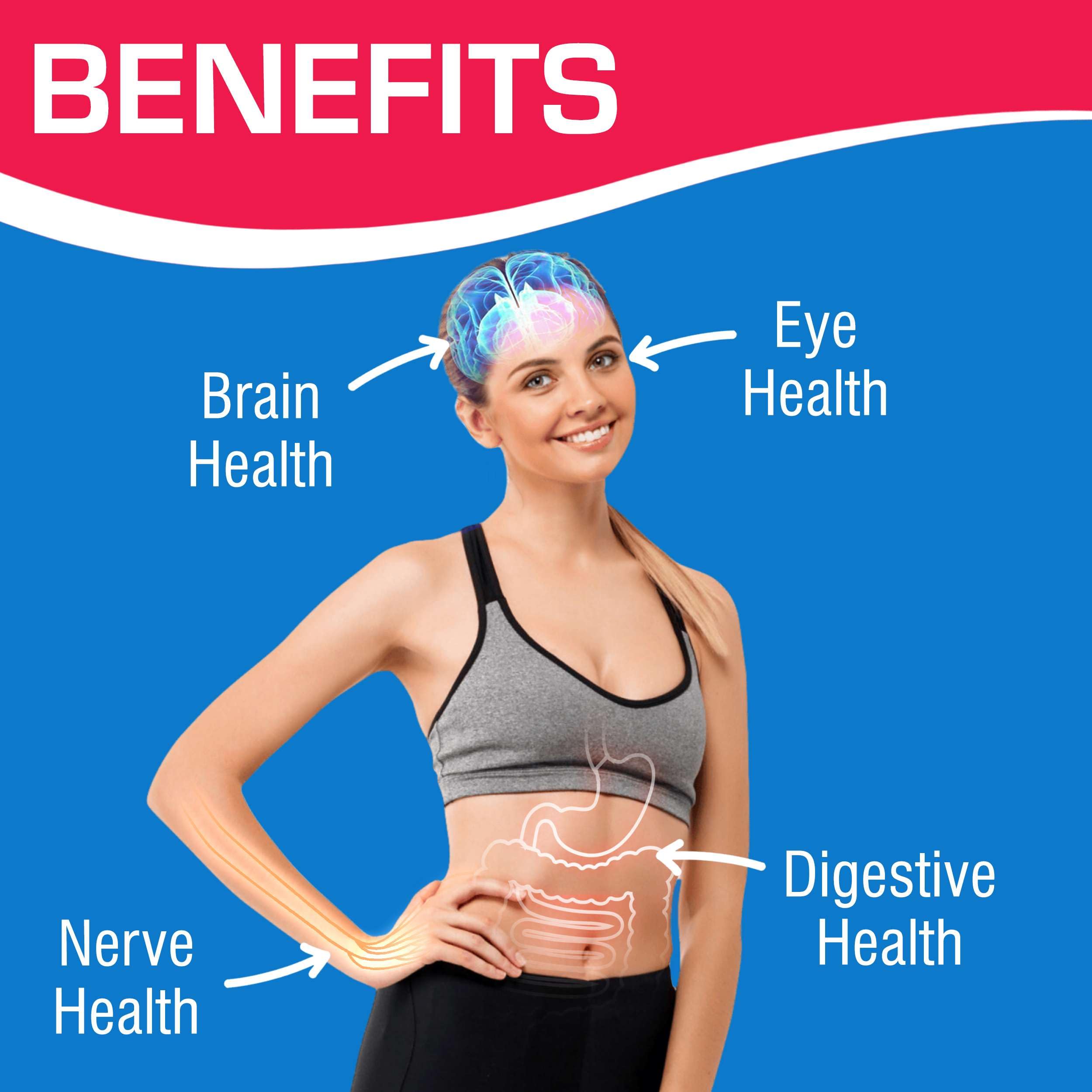 Iron Free Daily Multivitamin for Men and Women, 120 Tablets - AVED Daily Multi Vitamin and Minerals Health Supplement - Vitamins A, C, D, E, Vitamin B Complex, Zinc, Calcium, Magnesium, More