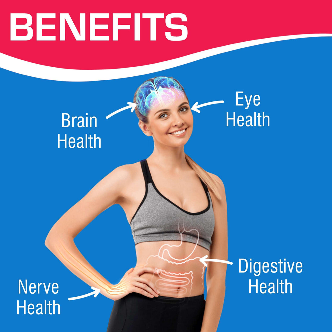 Iron Free Daily Multivitamin for Men and Women, 120 Tablets - AVED Daily Multi Vitamin and Minerals Health Supplement - Vitamins A, C, D, E, Vitamin B Complex, Zinc, Calcium, Magnesium, More