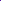 Framesi Color Lover Dynamic Blonde Violet Shampoo 16.9 fl oz/ 500 ml