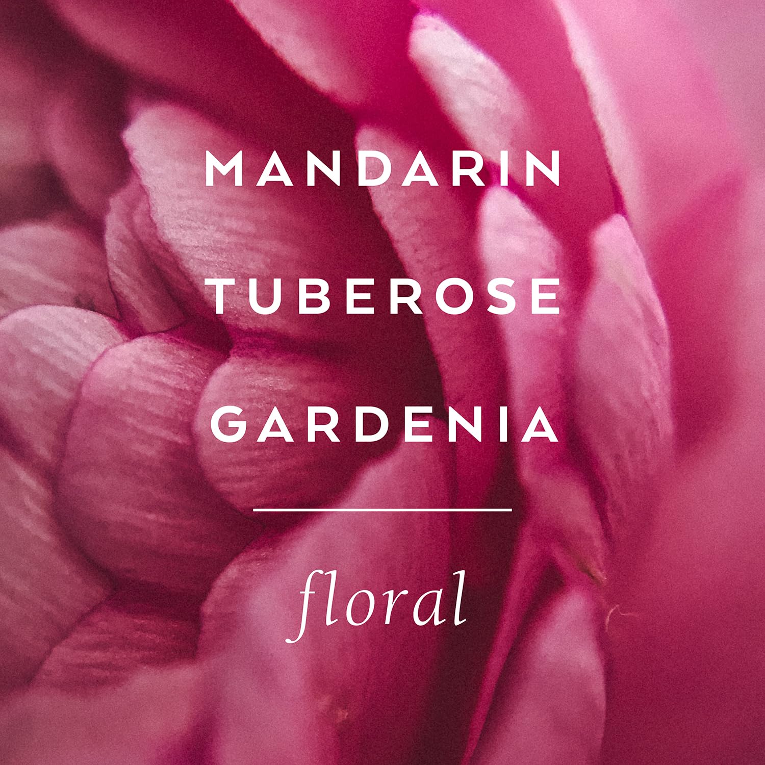 Tokyo Milk Shea Butter Lotion French Kiss AD