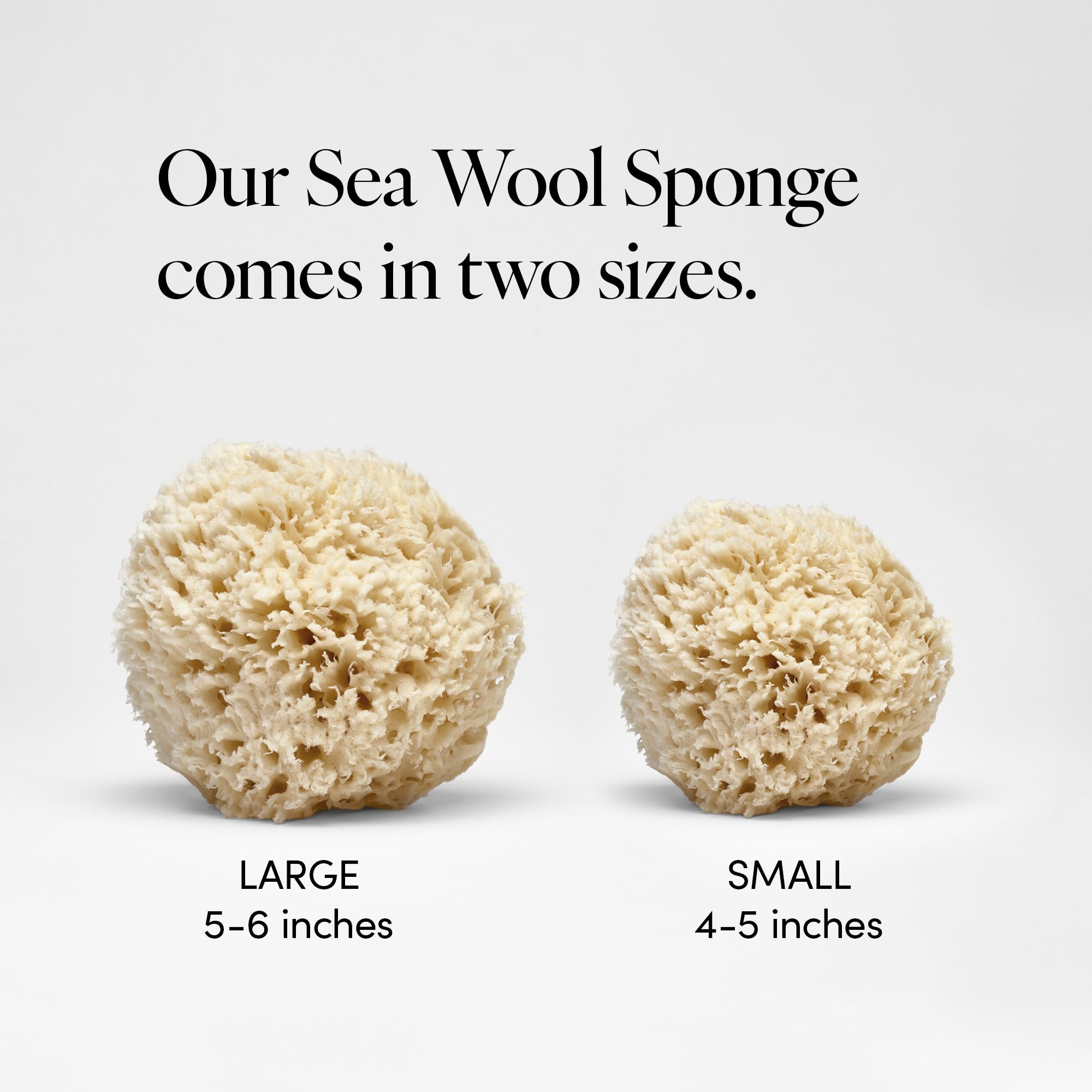 LATHER - Natural Sea Wool Sponge, 5-6 - Organic Exfoliating Body Scrubber - Soft, Gentle Cleansing - Hypoallergenic - All Skin Types - Florida Natural Loofah Sponge - Cruelty Free - Beauty & Skincare