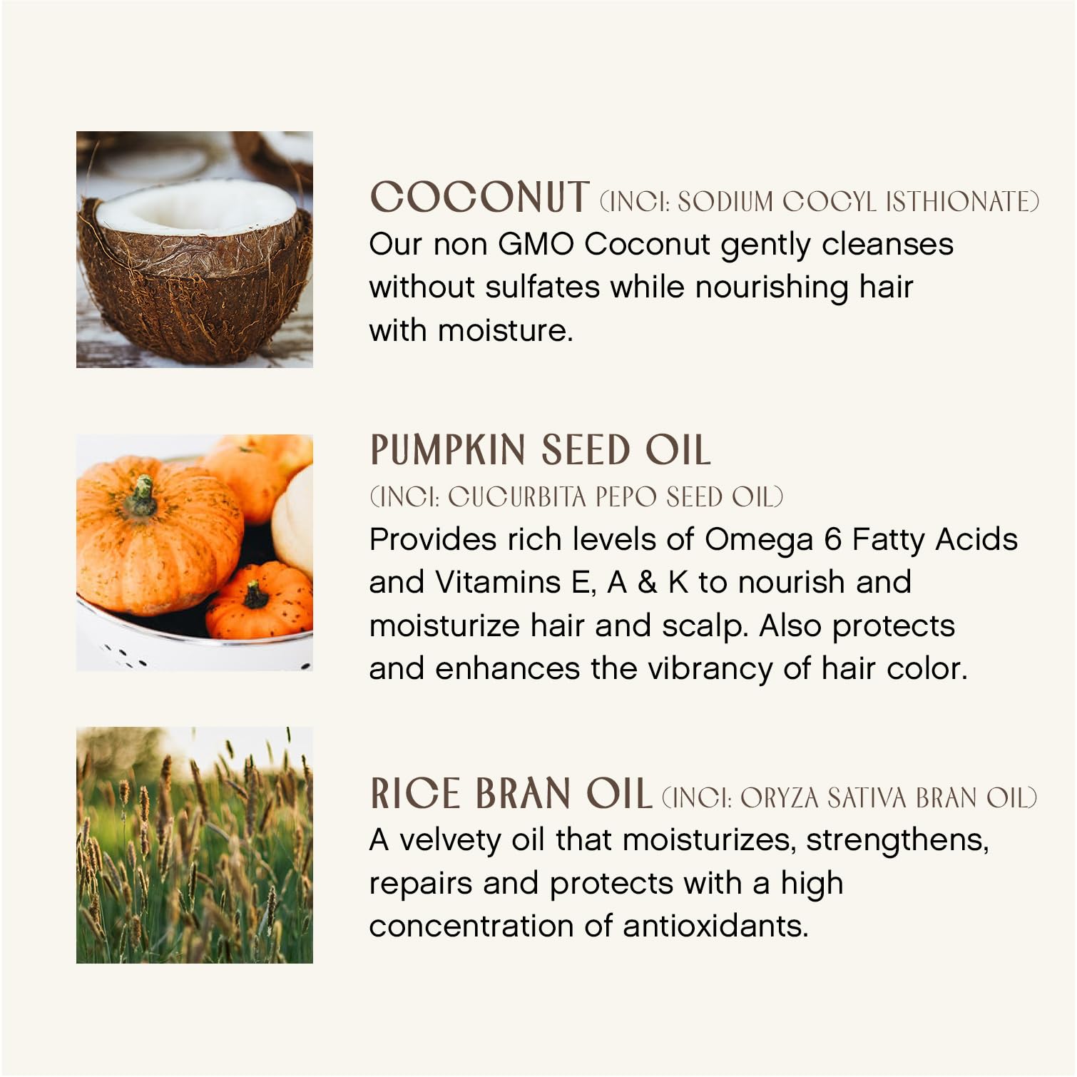 INNERSENSE Organic Beauty - Natural Bright Balance Purple Toning Conditioner | Non-Toxic, Cruelty-Free Haircare (10 fl oz | 295 ml)