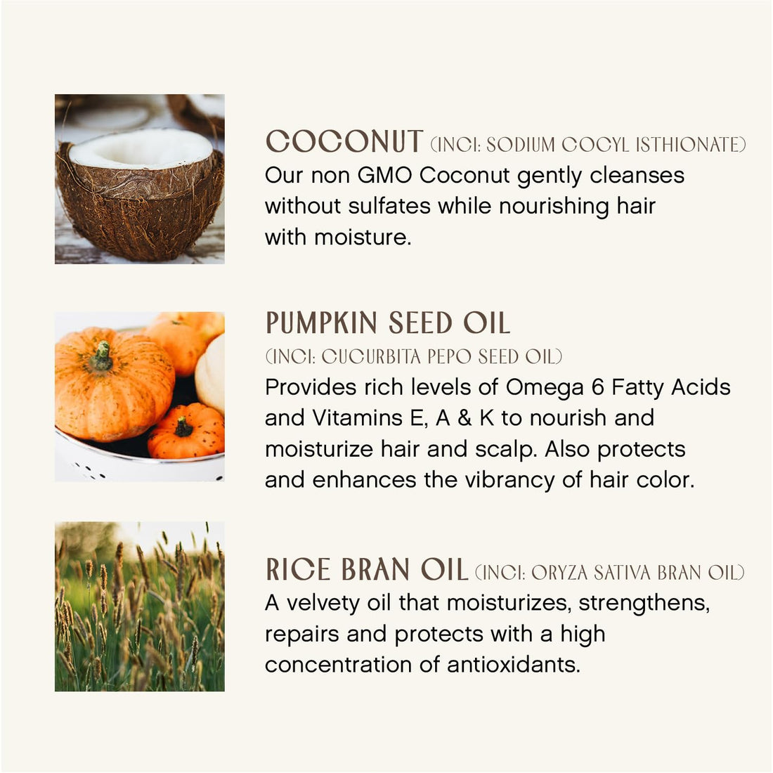 INNERSENSE Organic Beauty - Natural Bright Balance Purple Toning Conditioner | Non-Toxic, Cruelty-Free Haircare (10 fl oz | 295 ml)