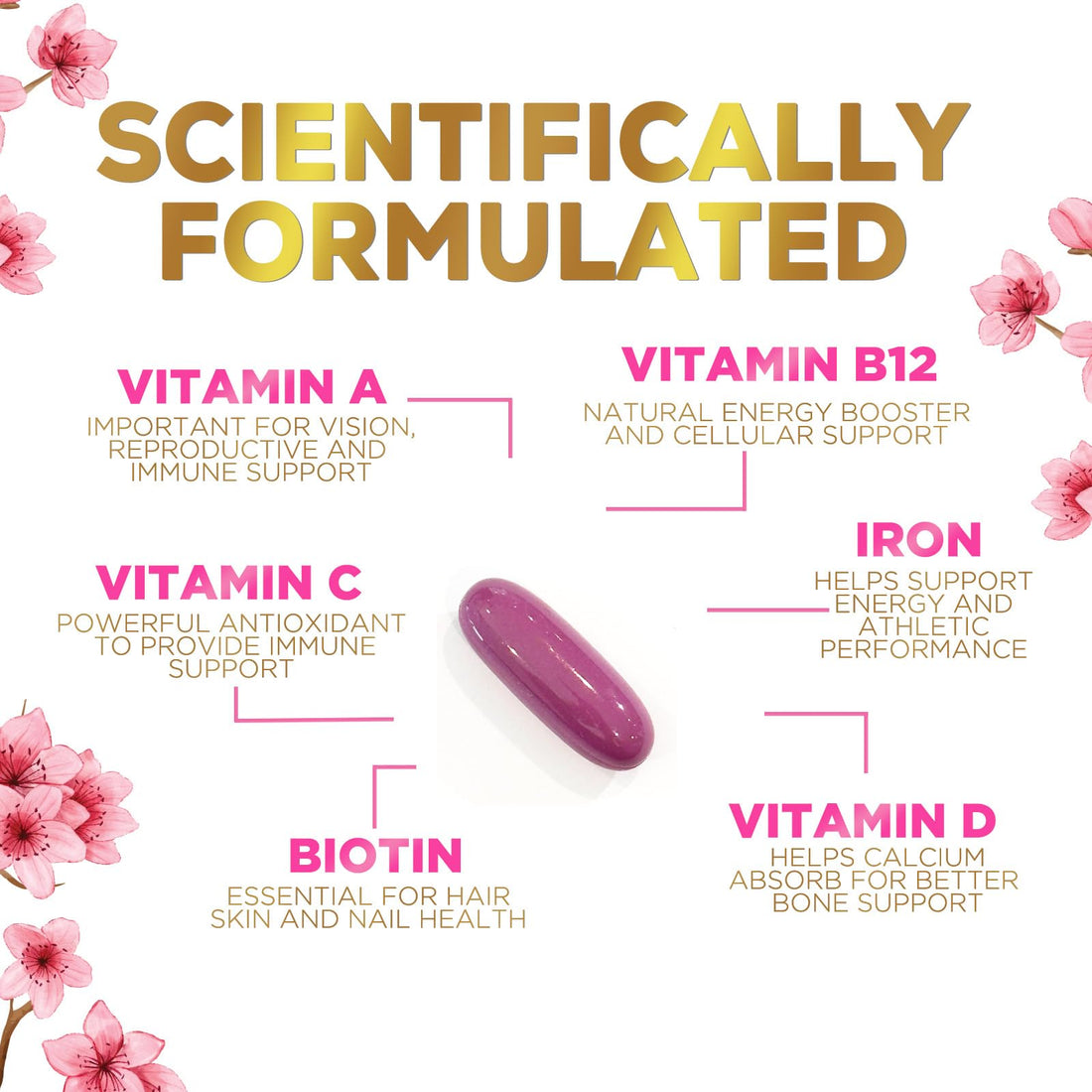 Multivitamin for Women with Iron, Calcium, Zinc, Vitamin A, C, D, E, & B Vitamins for Bone, Skin & Immune Health Support, Nature's Daily Womens Multivitamins for Women's Energy & Health, 120 Softgels