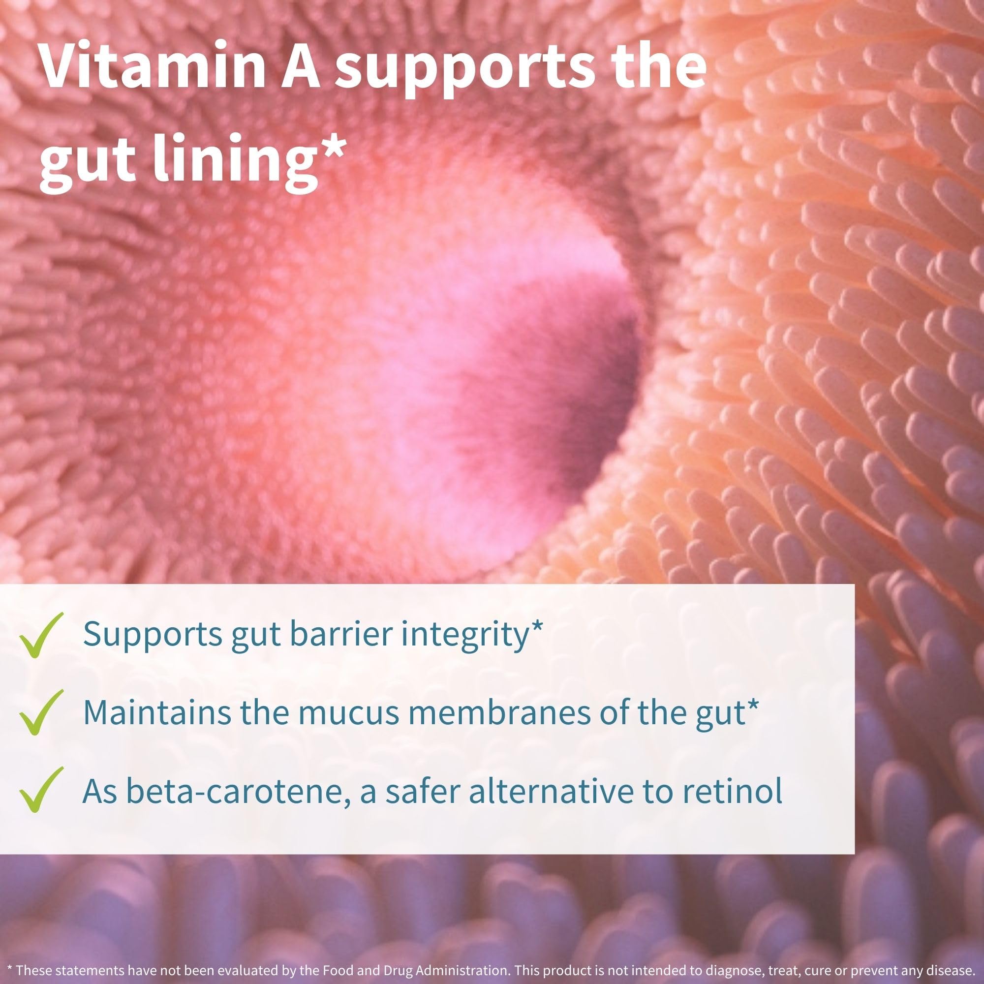 Igennus Probiotics & Prebiotic, Lactobacillus Acidophilus & Bifidobacterium, Live Cultures+ Lab4, Guaranteed 25 Billion CFU, for Women & Men, Non-Bloating Gut Health Support, Non-GMO, 6 x 30 Capsules