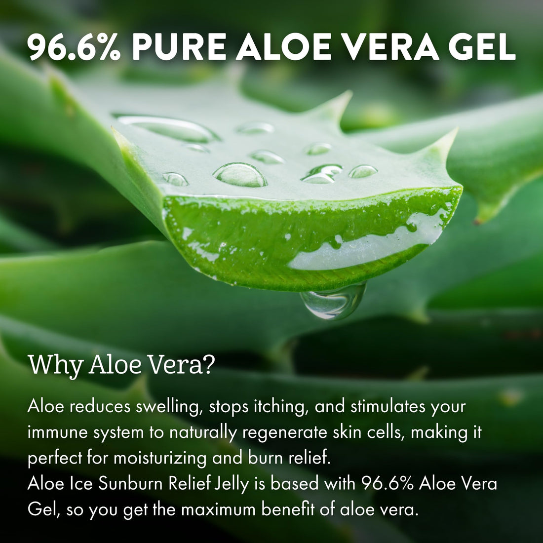 ALOE UP Aloe Ice Sunburn Relief Jelly - Face and Body Organic After Sun Gel - With 96.6% Pure Aloe Vera Gel - Reef Safe - Alcohol- and Fragrance-Free - 4 Oz