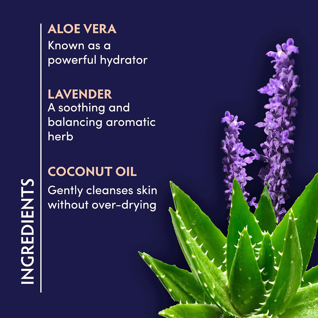 Naturopathica Aloe Cleansing Gel 2.0 oz