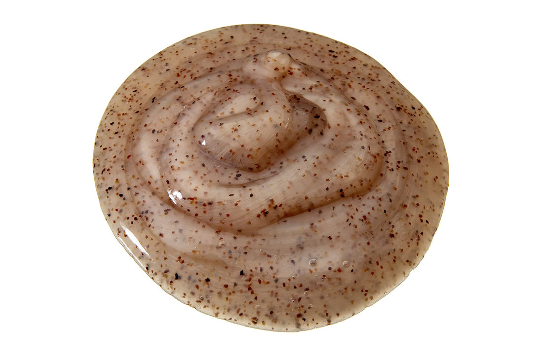 EchoLuxe Blueberry & Coffee Bean Exfoliating Cleanser 5 OZ