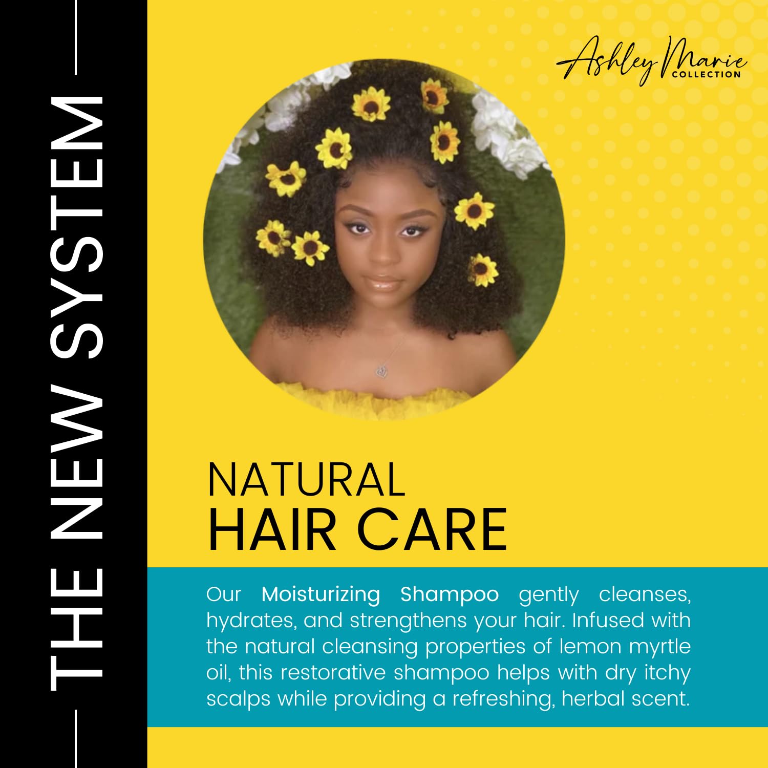 The Hair Diagram - Ashley Marie Moisturizing Shampoo - Natural Cleansing & Strengthening - Restorative Lemon Myrtle Shampoo with Hydrolyzed Wheat Protein - Color Safe - Paraben & Sulfate Free - 12oz