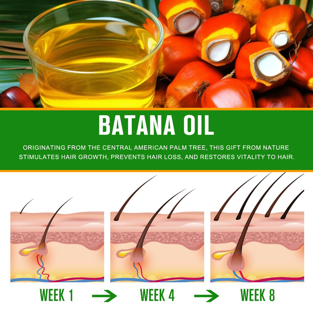 Dvoevivh Batana Oil for Hair Growth - Pure Organic Natural and Cold Pressed Hair Oil for Hydrating & Repairing Dry, Damaged Hair Skin Care, Face, Body