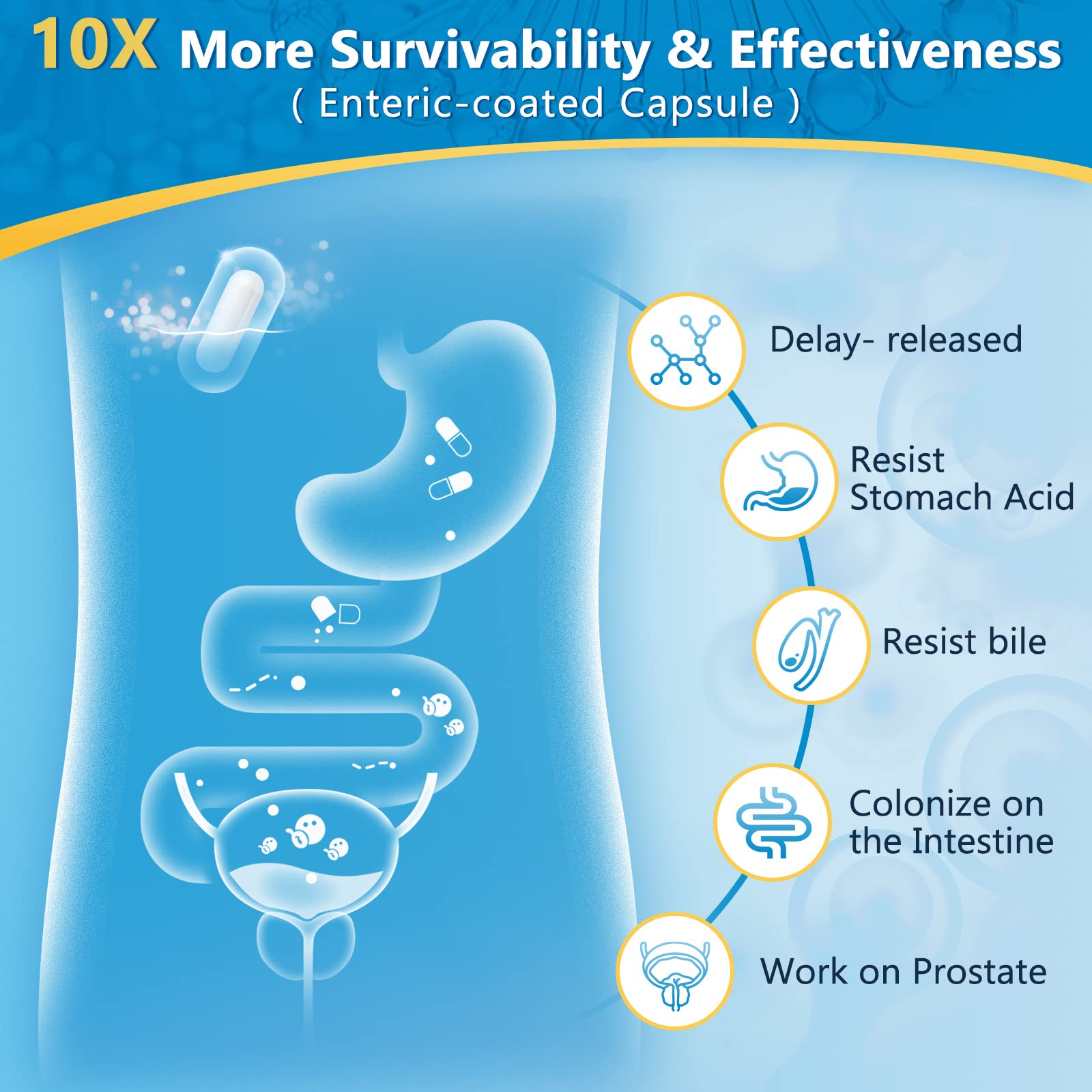 NATURE TARGET Probiotics for Men Digestive Health with Enzymes & Prebiotics, 100 Billion CFUs, Men's Probiotics with Saw Palmetto & Cranberry for Prostate & Urinary Tract Health, 90 Veggie Capsules