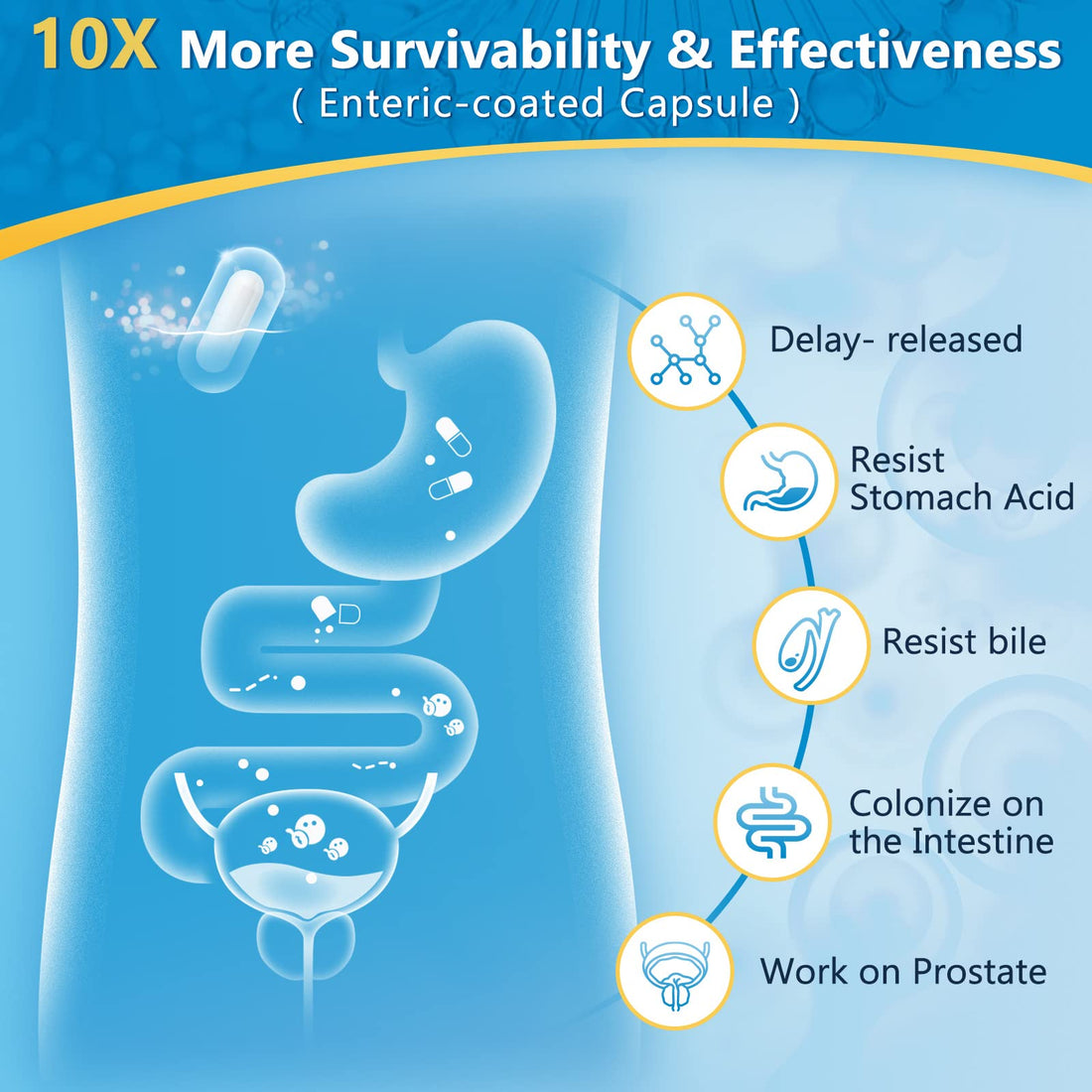 NATURE TARGET Probiotics for Men Digestive Health with Enzymes & Prebiotics, 100 Billion CFUs, Men's Probiotics with Saw Palmetto & Cranberry for Prostate & Urinary Tract Health, 90 Veggie Capsules