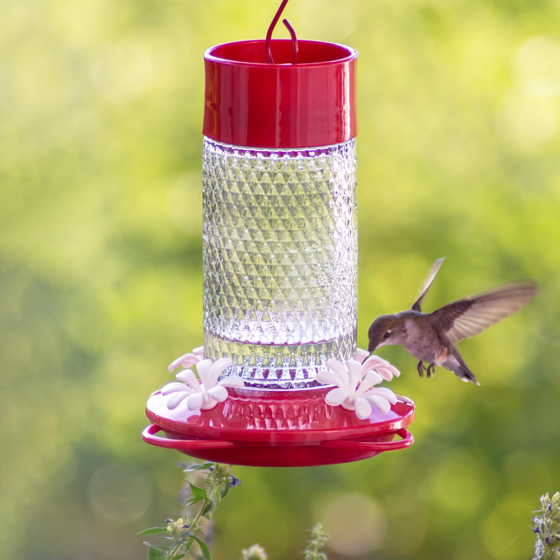Nature's Way Hanging Glass Hummingbird Feeder for Outdoor Décor, 13 Ounce Capacity Nectar Feeder, Ant Moat, 4 Easy to Clean Flexible Ports, Red