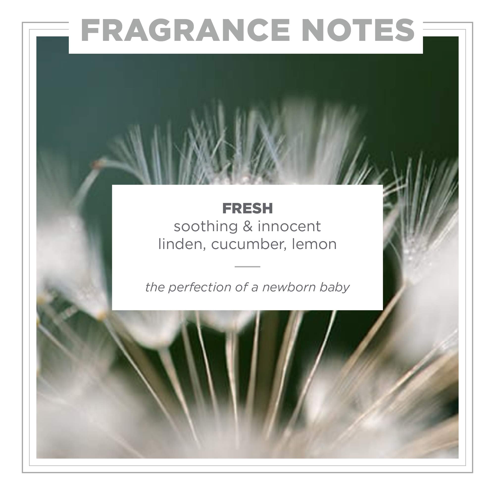 ZENTS Lotion, Fresh, 6.4 fl. oz.