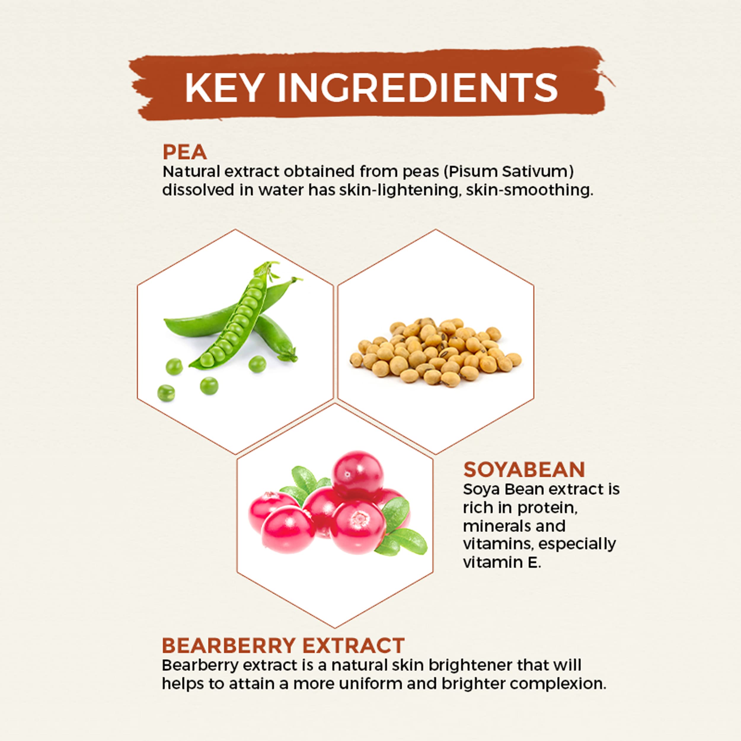 Oshea Herbals Phytonight Night Cream