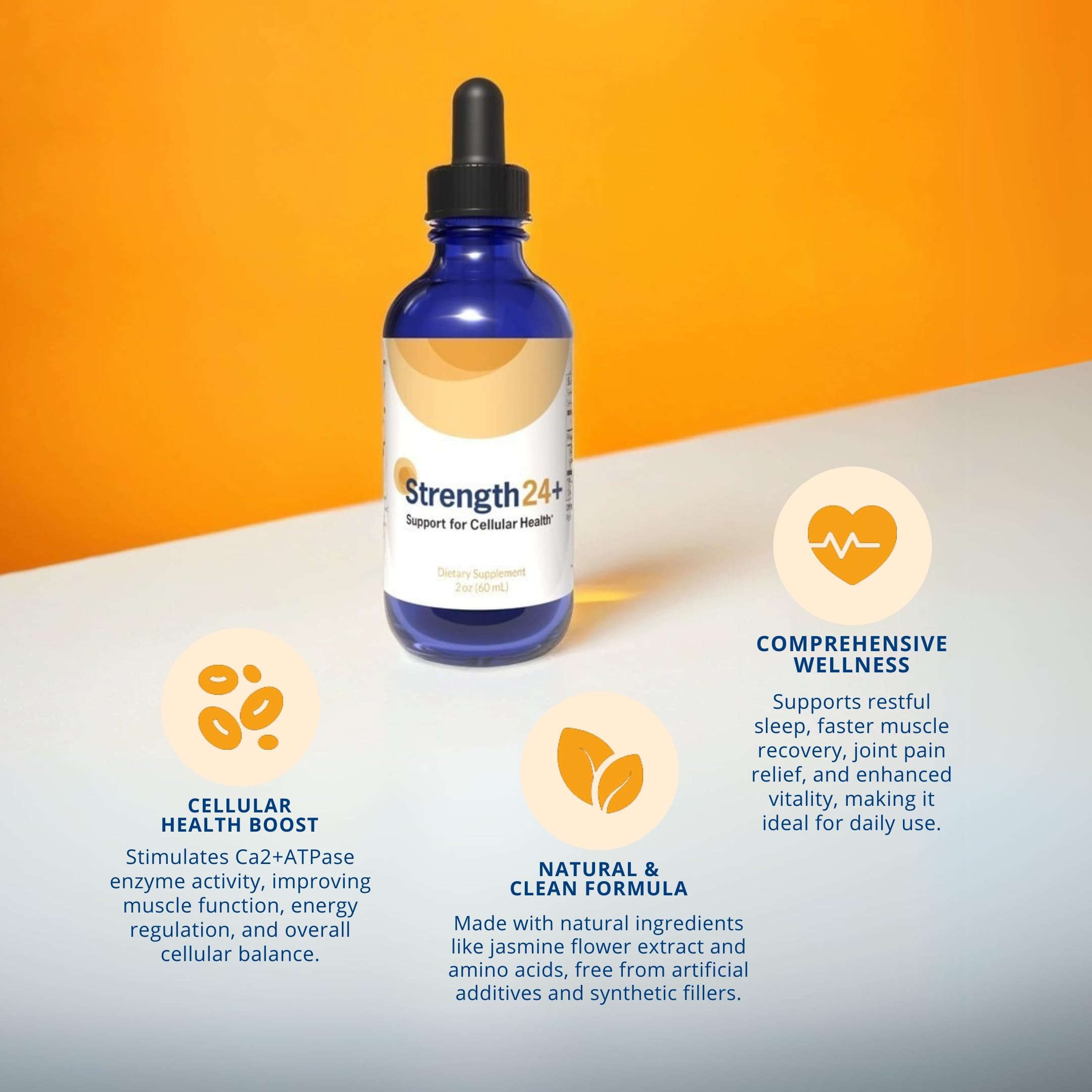 Strength24+ Dietary Supplement for Cellular Health, Muscle Recovery, and Vibrant Aging
