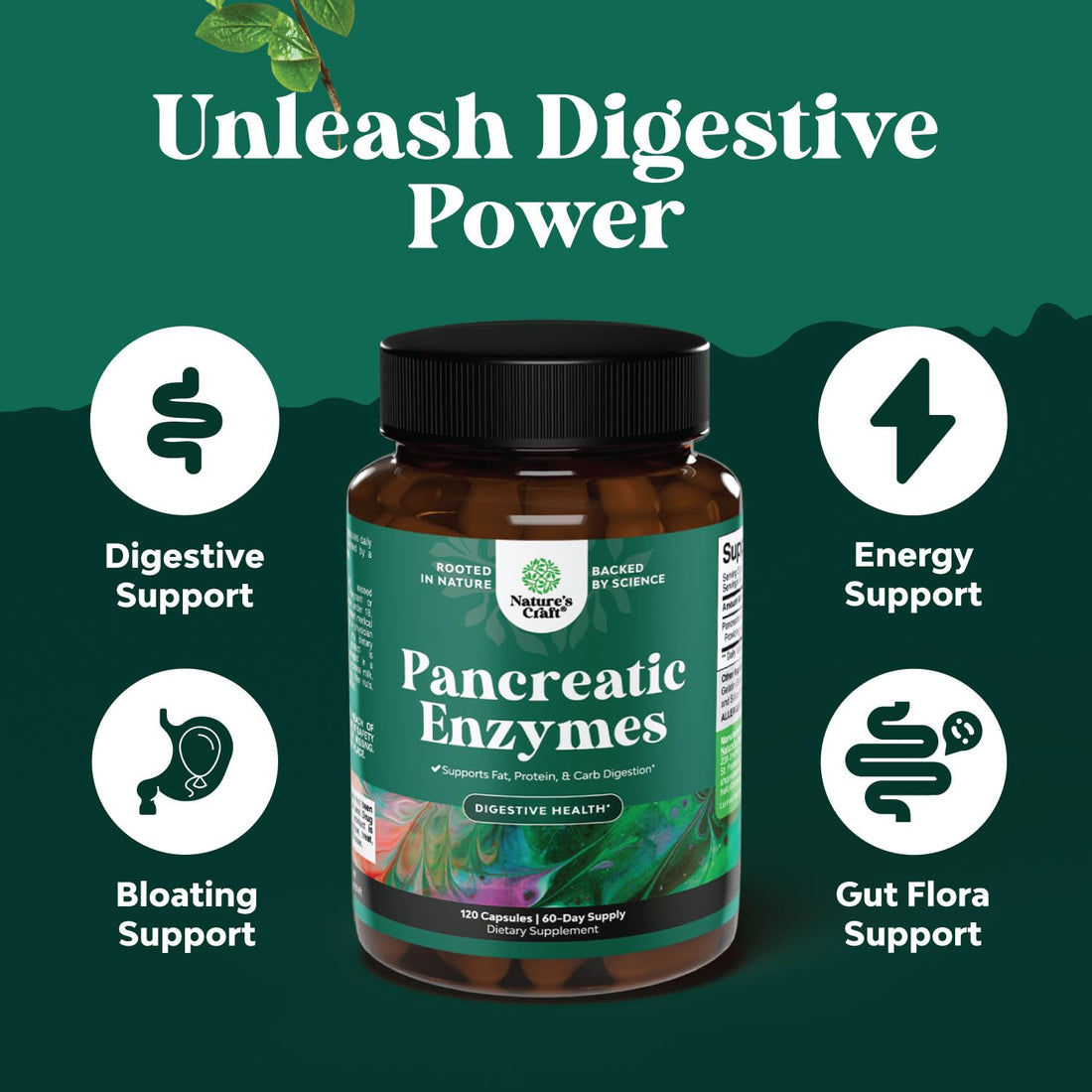 Natures Craft Pancreatin Digestive Enzymes for Digestive Health - Pancreatic Enzymes for Humans with Fat Carb and Protein Women and Men - Protease Amylase & Lipase Digestion -120ct