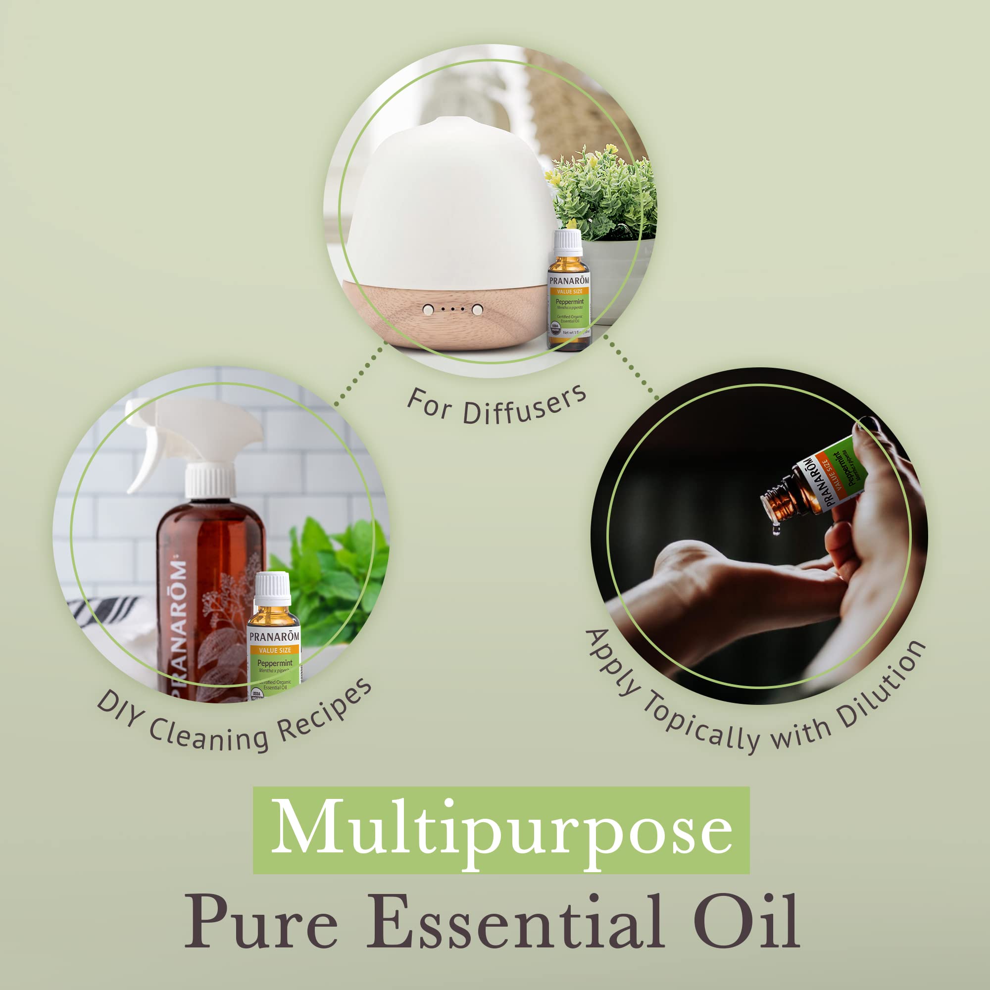 PranarC3B4m Organic Peppermint, 30Ml: Pranarom - Certified Usda And Ecocert Organic Peppermint 30Ml