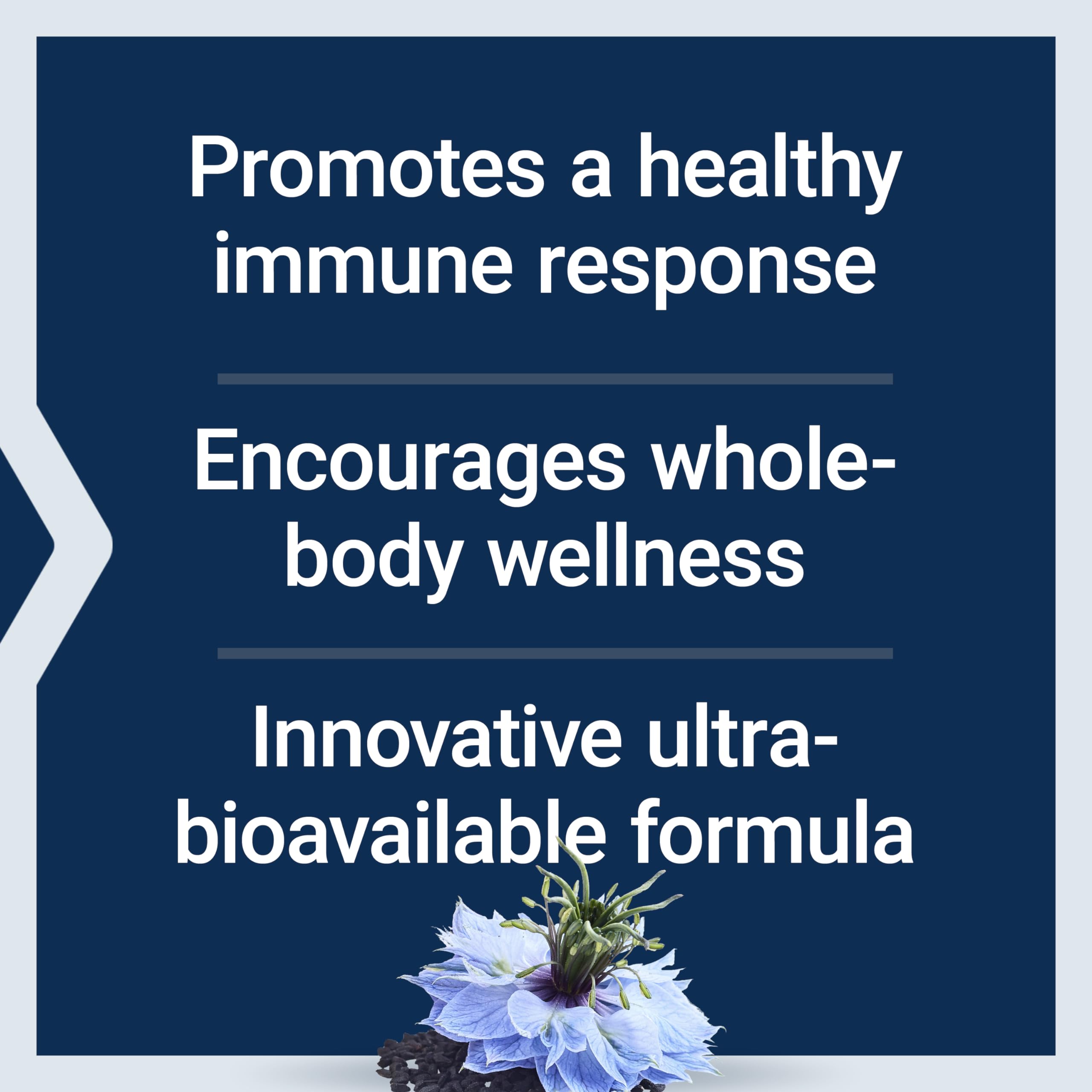 Life Extension Black Cumin Seed Oil and Curcumin Elite, Curcumin Turmeric Extract, Black Cumin Oil, Immune Response, bioavailable, Non-GMO, Gluten-Free, 60 softgels