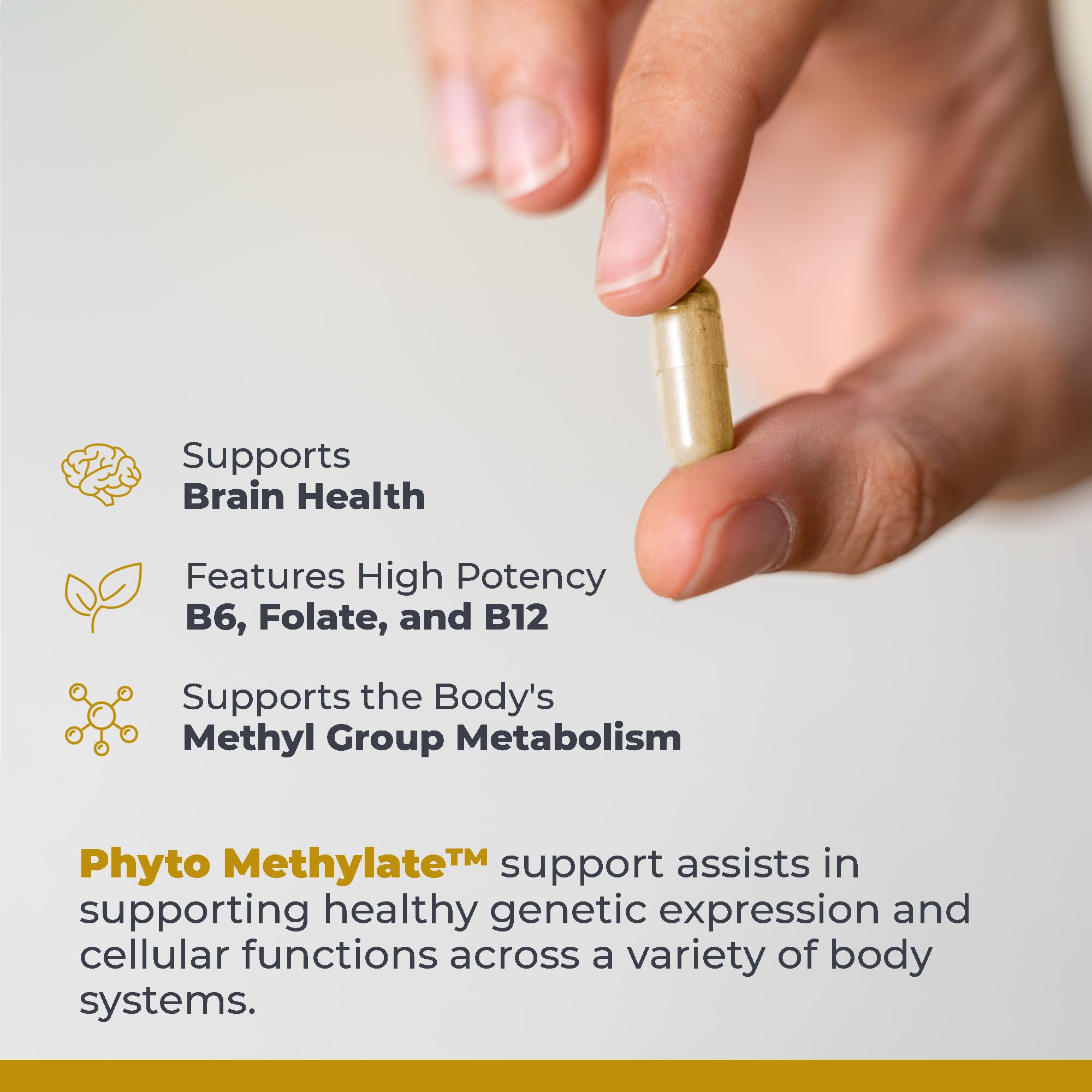 Premier Research Labs Phyto Methylate - B Vitamin Supplement - Supports Methylation, Detox, Brain & Heart Health - 5-MTHF & P5P - 60 Plant-Source Capsules