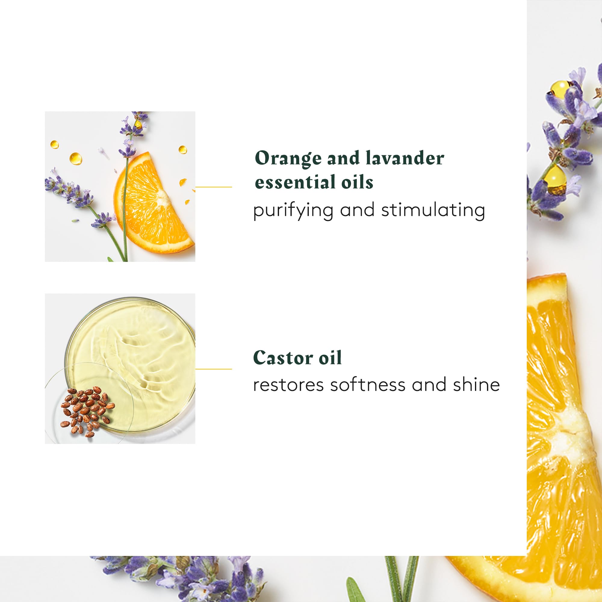 Rene Furterer Head Spa COMPLEXE 5 Stimulating Plant Concentrate, Pre-Shampoo Purifying Scalp Treatment, 1.6 oz