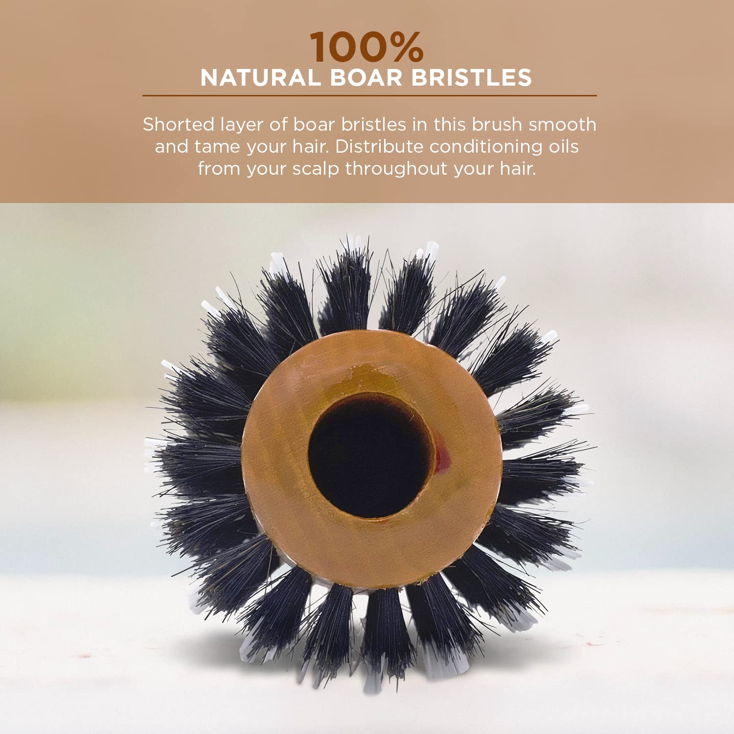 Spornette Porcupine Rounder Brush, 3-Inch Diameter