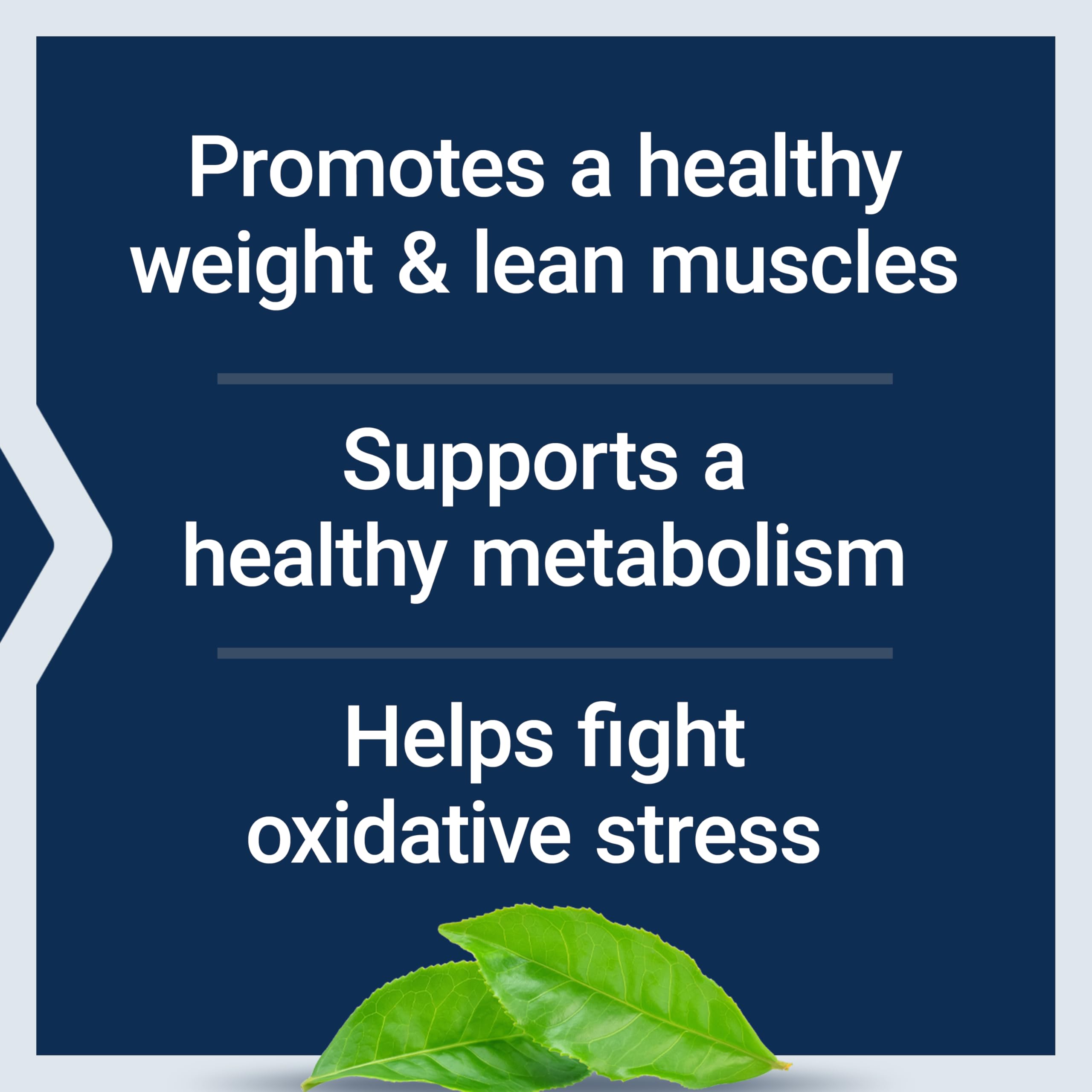 Life Extension 7-Keto DHEA Metabolite – Crank Up Your Fat-Burning Furnace – Non-GMO – Gluten-Free – 100 Mg – 60 Vegetarian Capsules