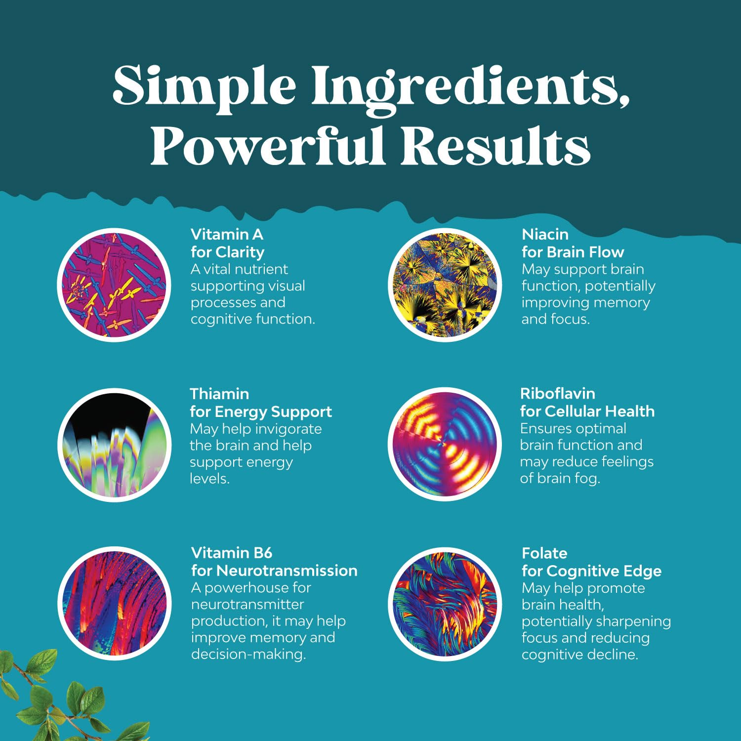 Advanced Nootropics Brain Support Supplement - Synergetic Mental Energy and Focus Supplement with Brain Vitamins for Cognitive Enhancement - Mind and Memory Supplement for Brain Health (30 Servings)