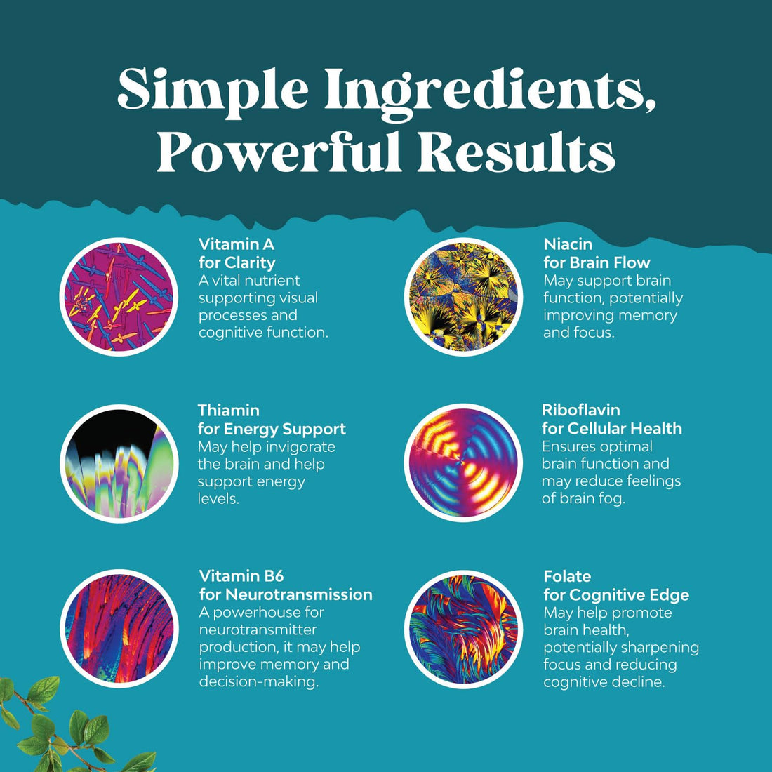 Advanced Nootropics Brain Support Supplement - Synergetic Mental Energy and Focus Supplement with Brain Vitamins for Cognitive Enhancement - Mind and Memory Supplement for Brain Health (30 Servings)