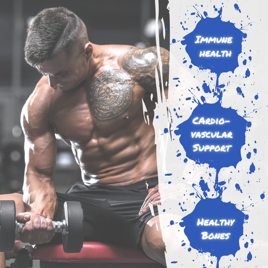 Gaspari Nutrition Anavite XT: Multivitamin and Mineral Complex for Men, Enhanced Muscle Growth and Recovery, Testosterone Support, 90 Tablets