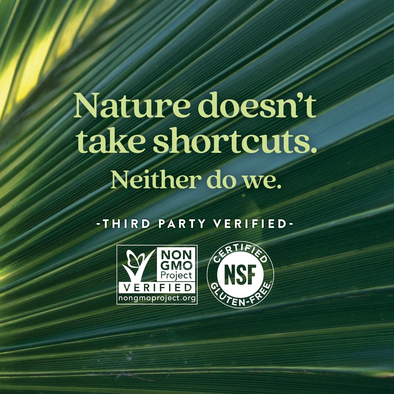 New Chapter Prostate Supplement Zyflamend Prostate with Saw Palmetto + Pumpkin Seed Oil + Turmeric for Prostate Health Vegetarian Capsule, 60 Count