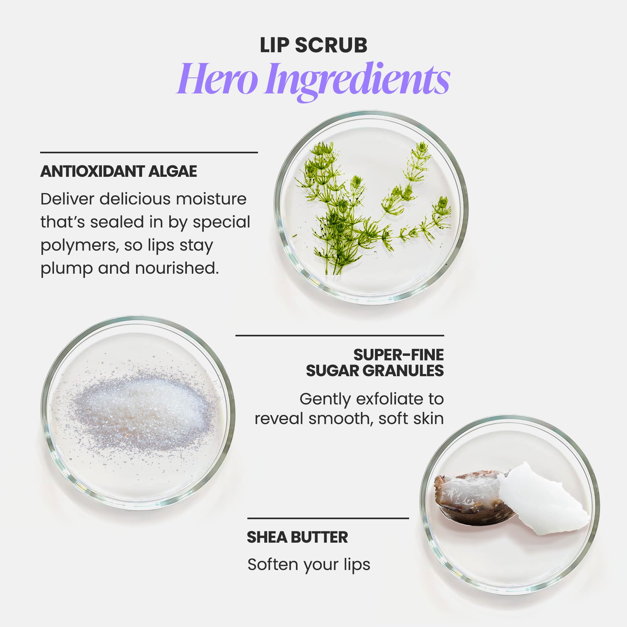 Wonderskin 3-in-1 Lip Scrub Exfoliator & Moisturizer, Lip Exfoliator Scrub, Hydrating Balm for Soft, Nourished, Flake-Free Lips with One-Step Prep, 0.10oz