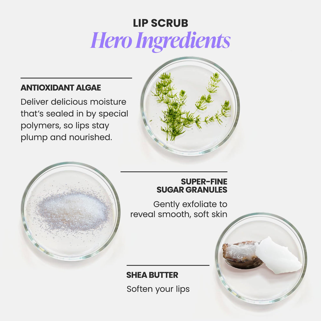 Wonderskin 3-in-1 Lip Scrub Exfoliator & Moisturizer, Lip Exfoliator Scrub, Hydrating Balm for Soft, Nourished, Flake-Free Lips with One-Step Prep, 0.10oz