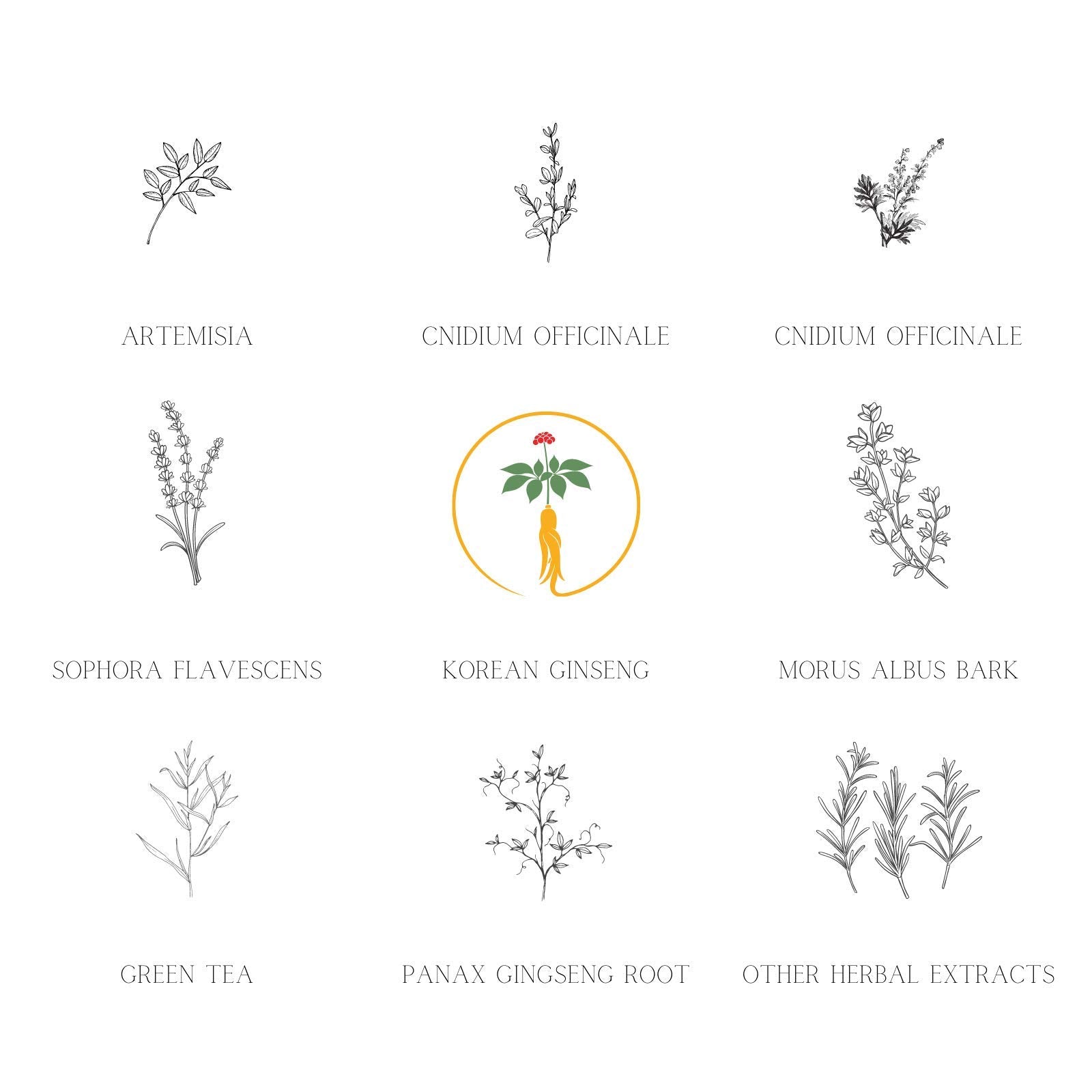 Daeng Gi Meo Ri Ki Gold - Premium Treatment