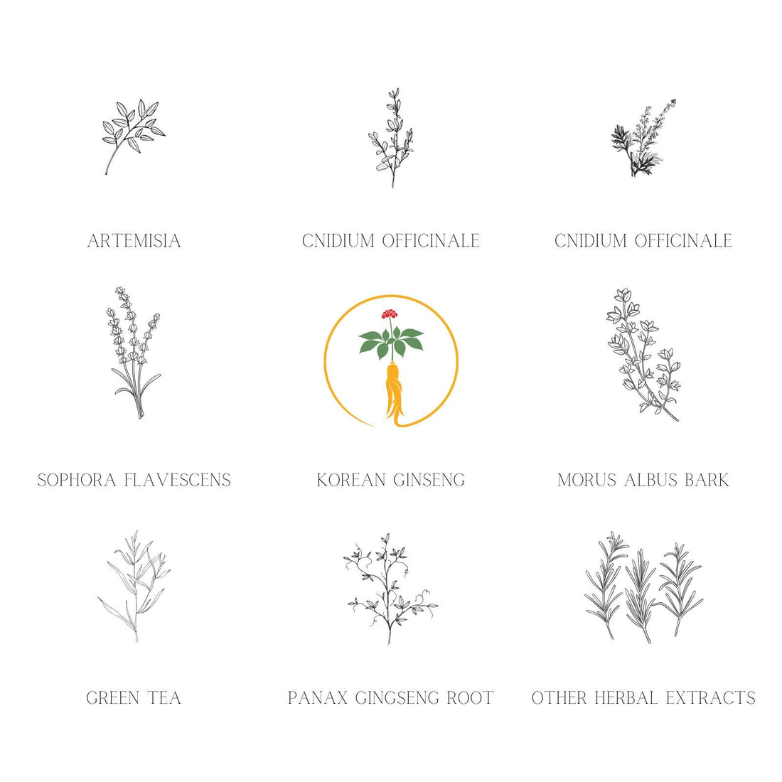 Daeng Gi Meo Ri Ki Gold - Premium Treatment