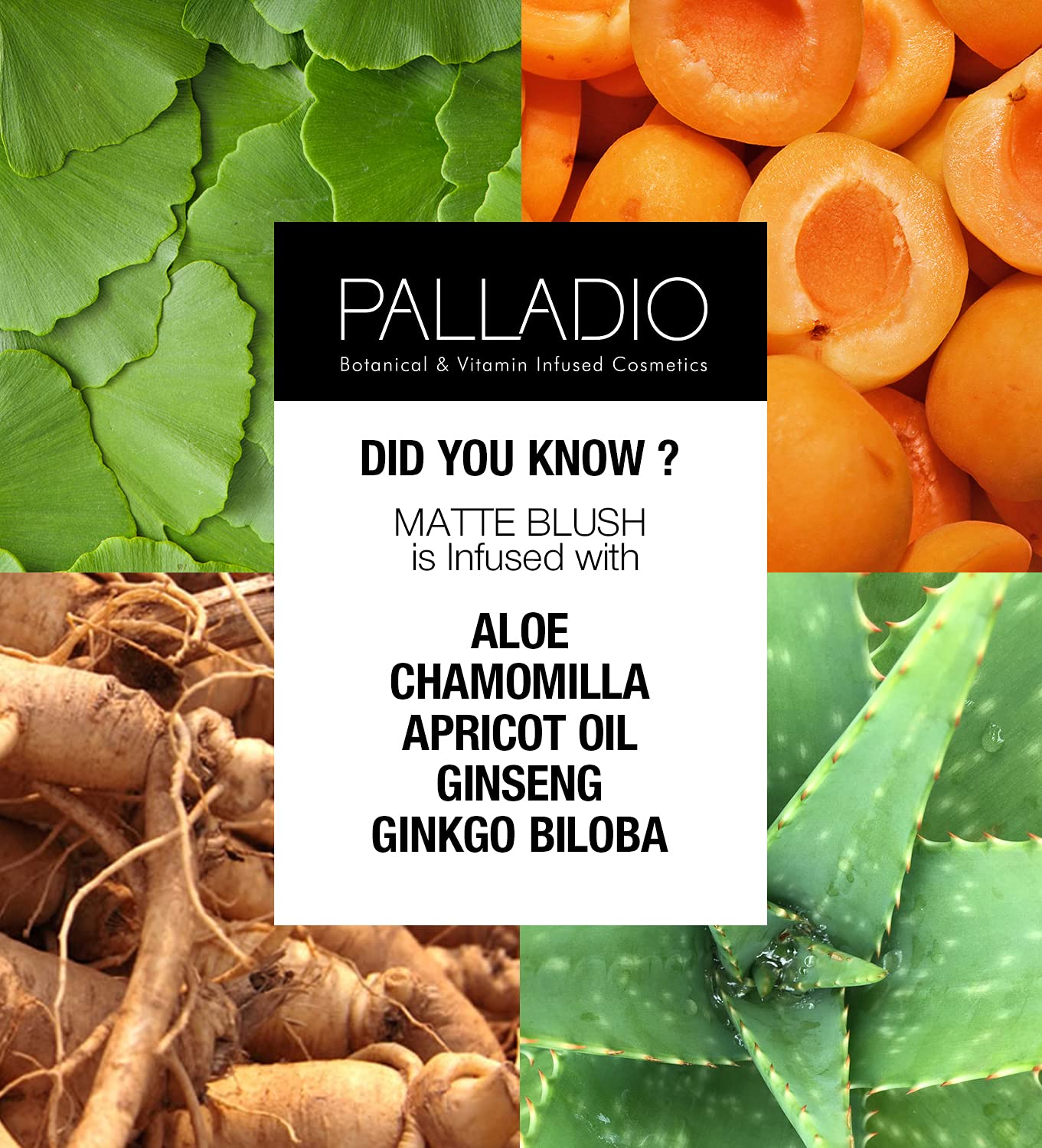 Palladio Beauty, MATTE BLUSH 6 g 0.21 oz, Peach Ice