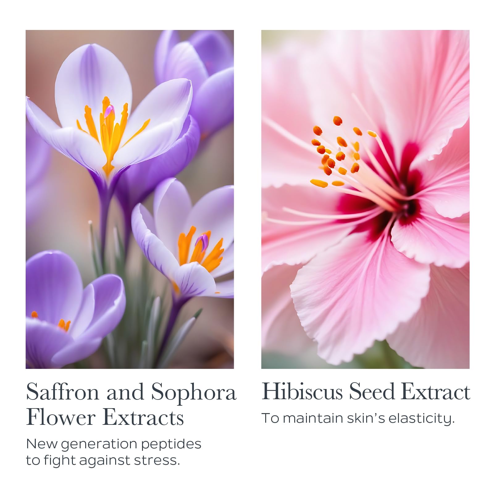 Sothys Firming Comfort Youth Cream 50ml/1.69 fl Ounce