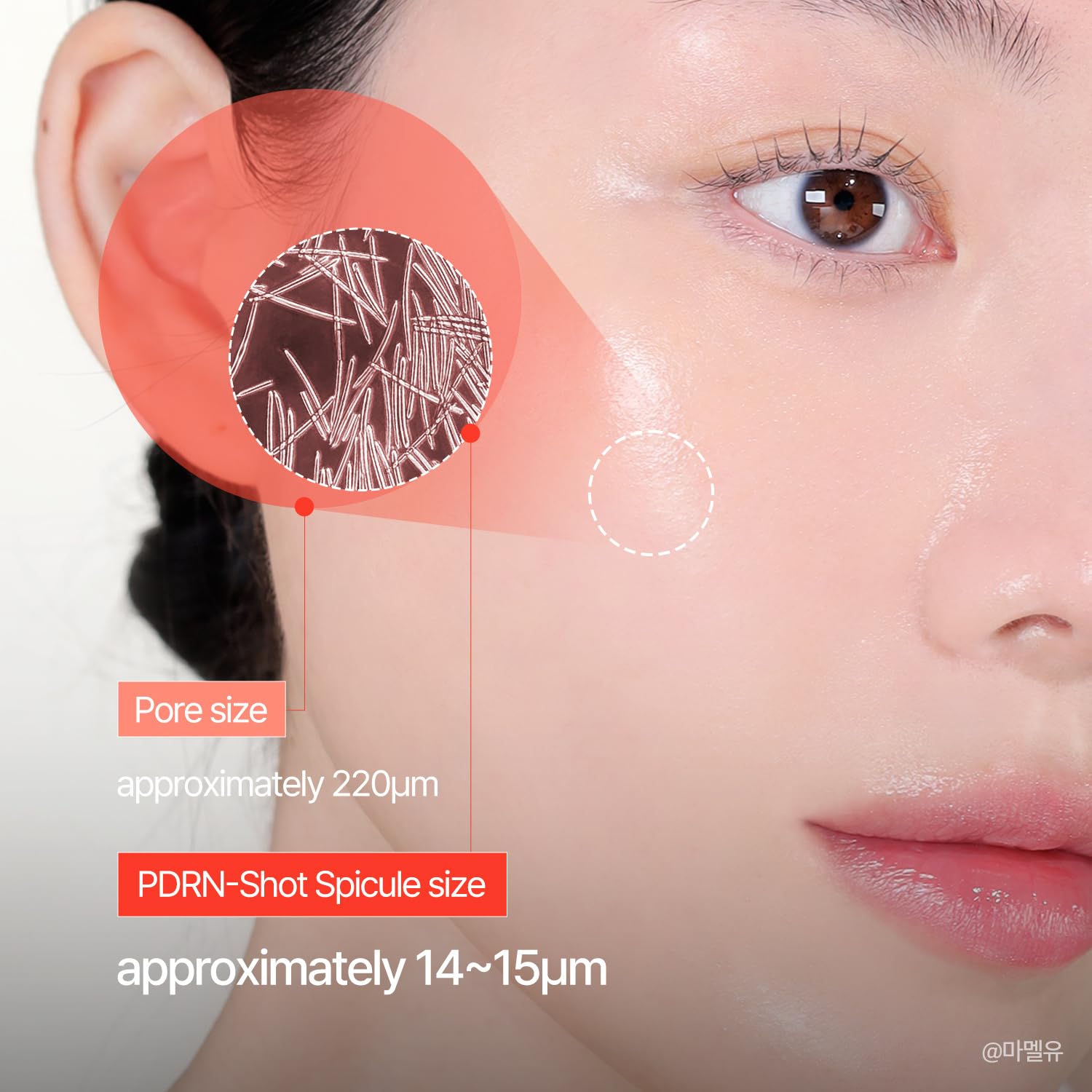 COSNORI PDRN-Shot 675 - Korea Facial Serum with 675,000 high purity spicules - Turnover K-Beauty Face Serum with High Nutrition Salmon DNA PDRN - Intensive facial first essence (50ml / 1.69 fl. oz.)